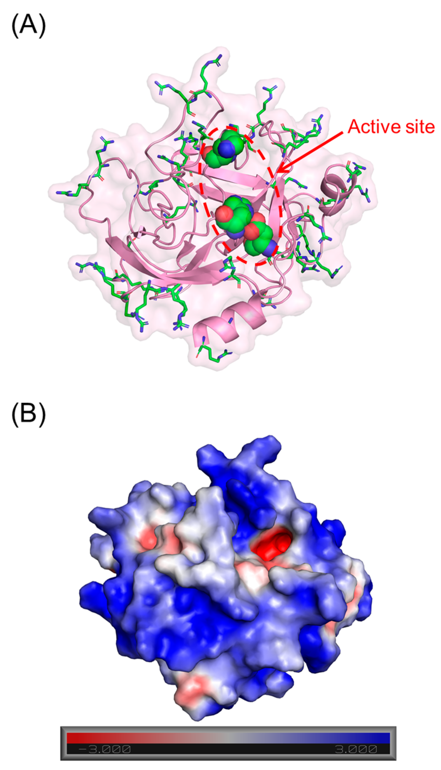 Biomolecules 13 00760 g001