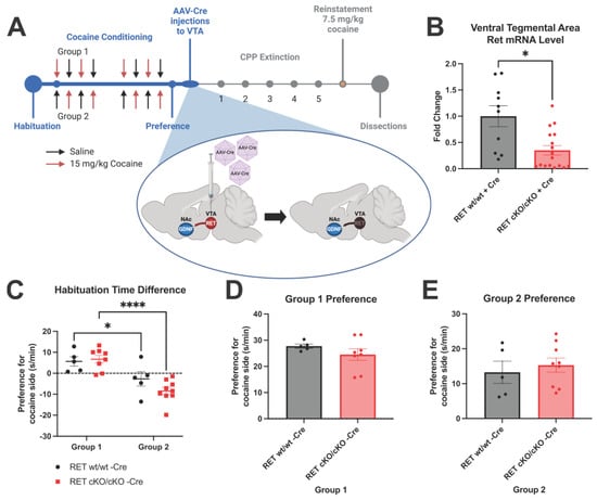 Biomolecules 13 00761 g001