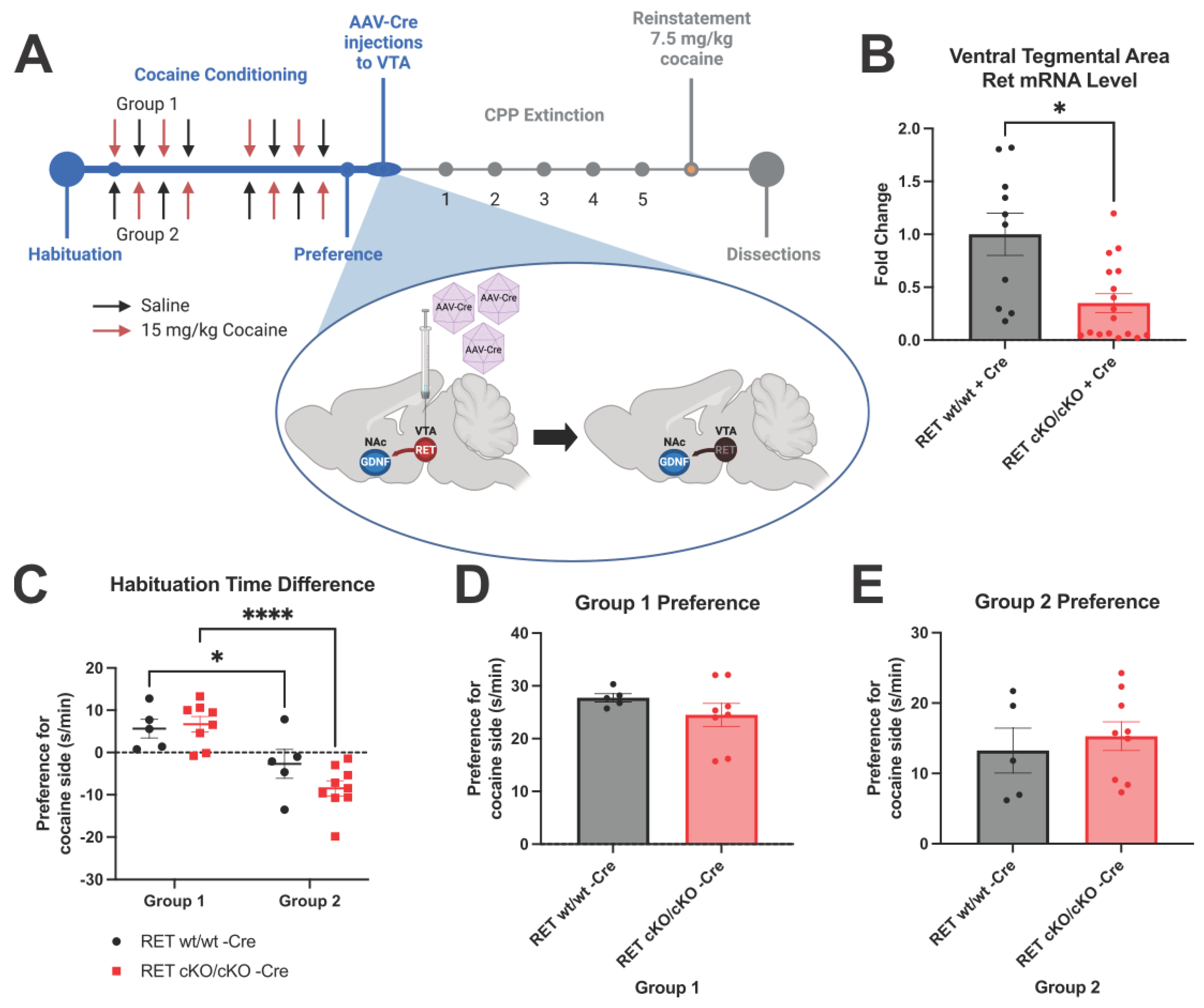 Biomolecules 13 00761 g001