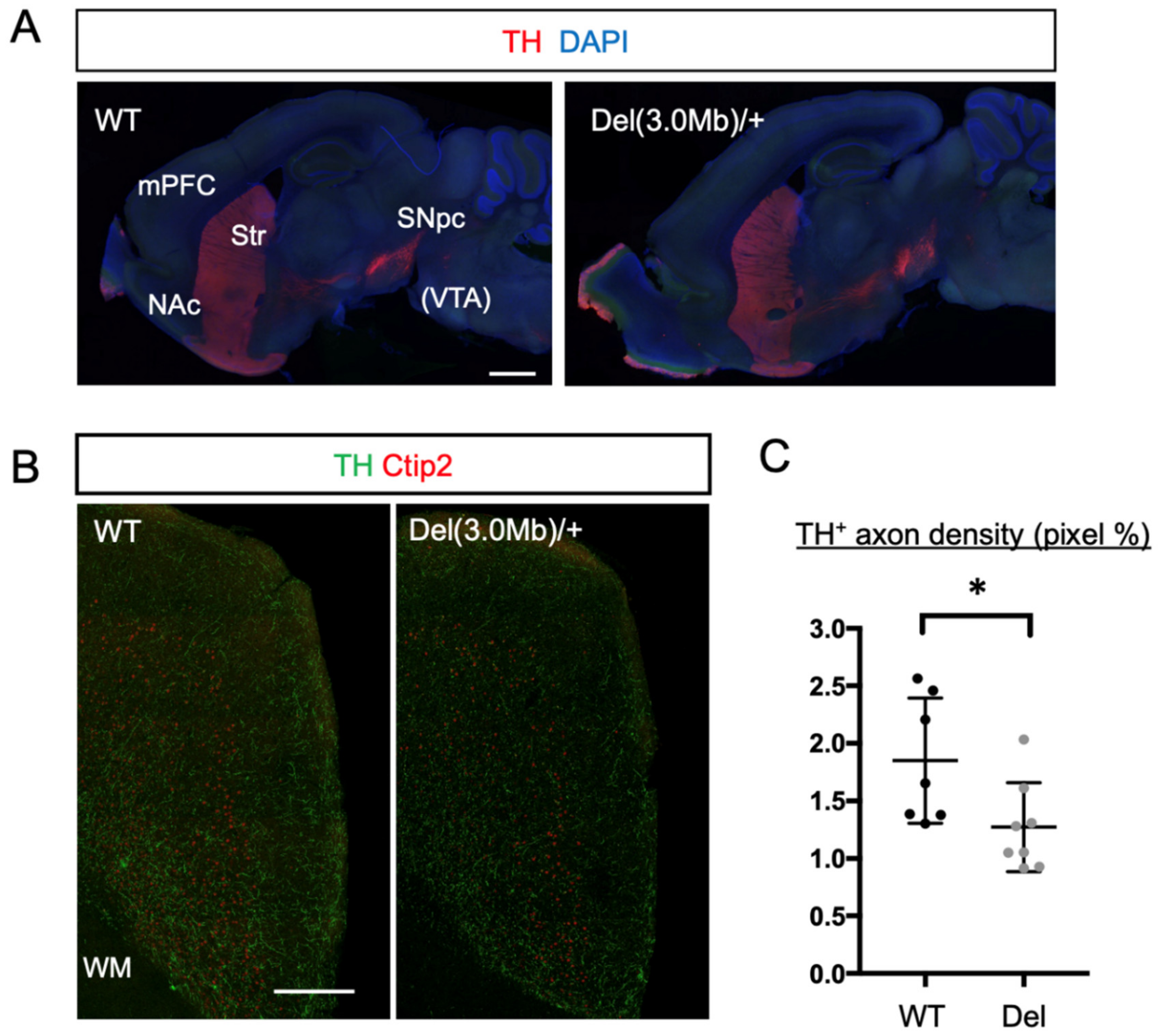Biomolecules 13 00763 g006