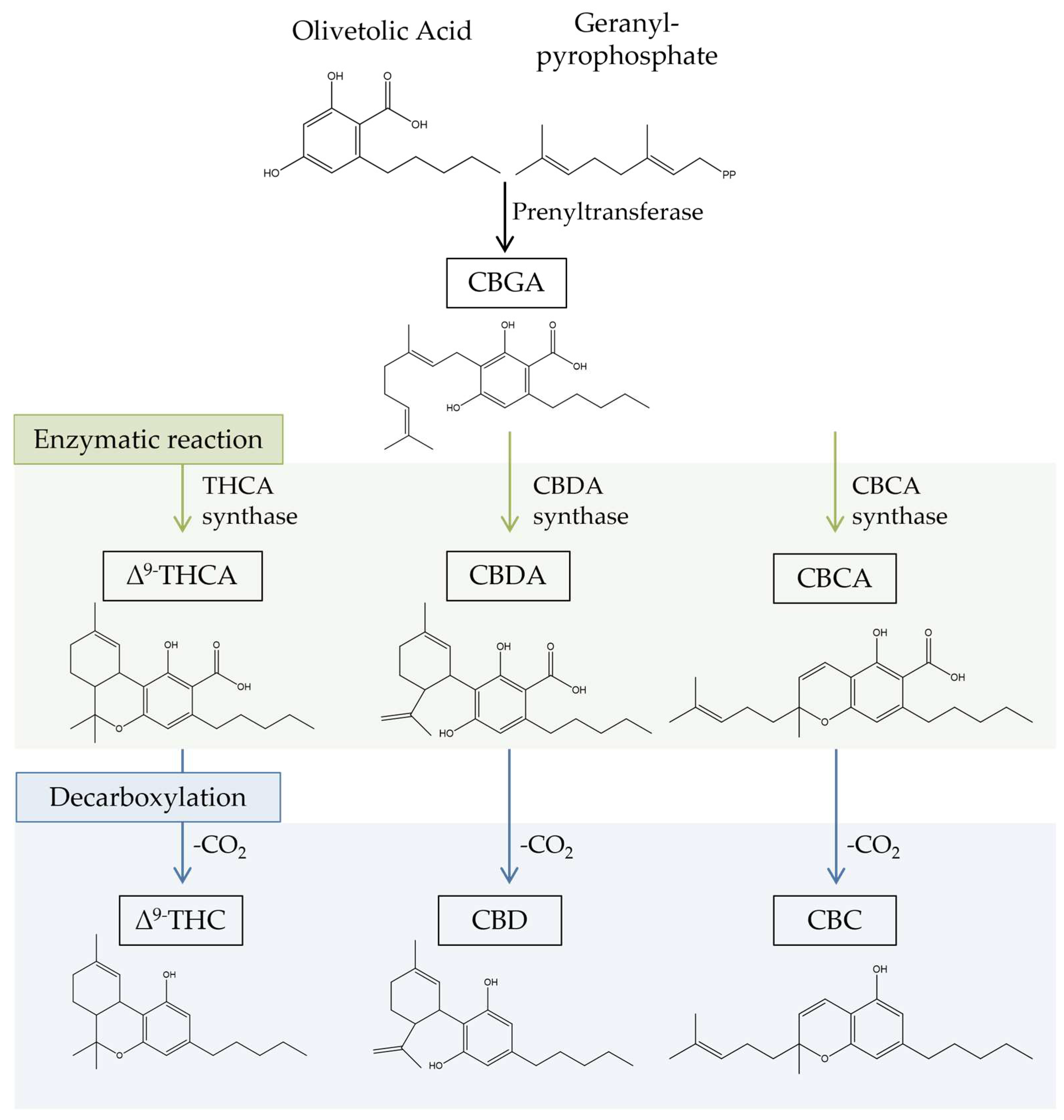 Biomolecules 13 00764 g001