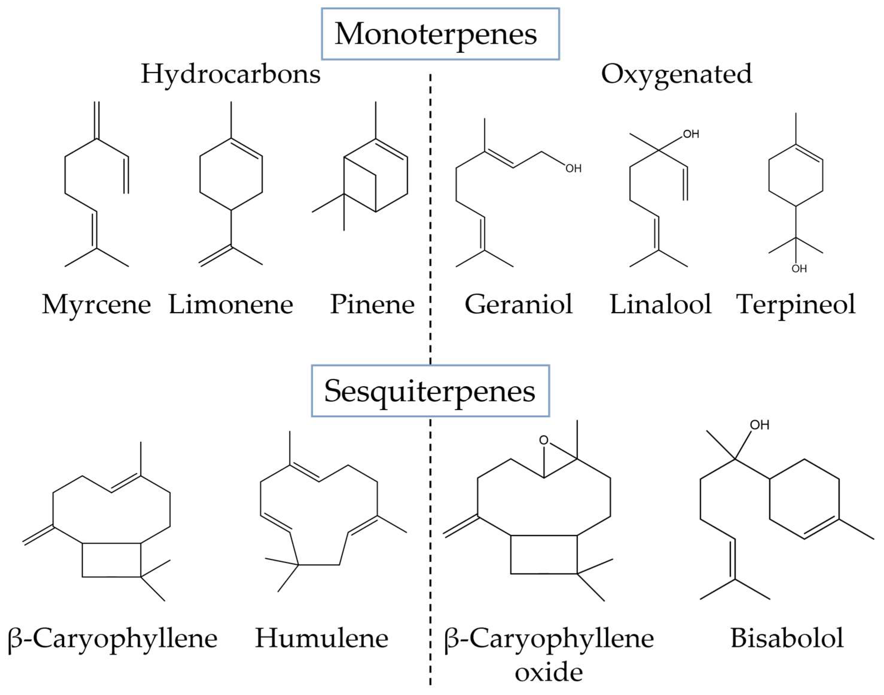 Biomolecules 13 00764 g003