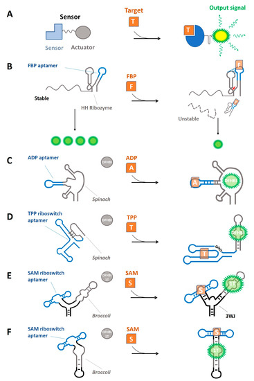 Biomolecules 13 00765 g001