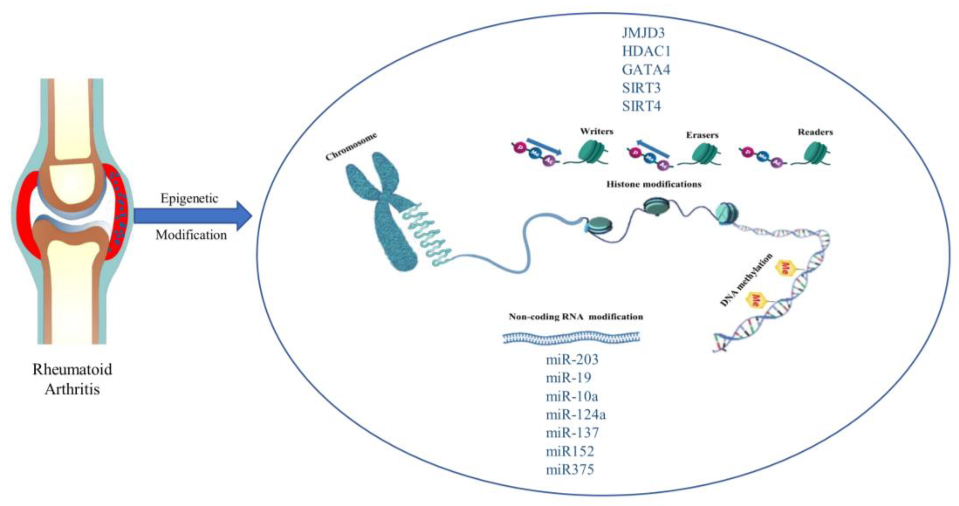 Biomolecules 13 00766 g004