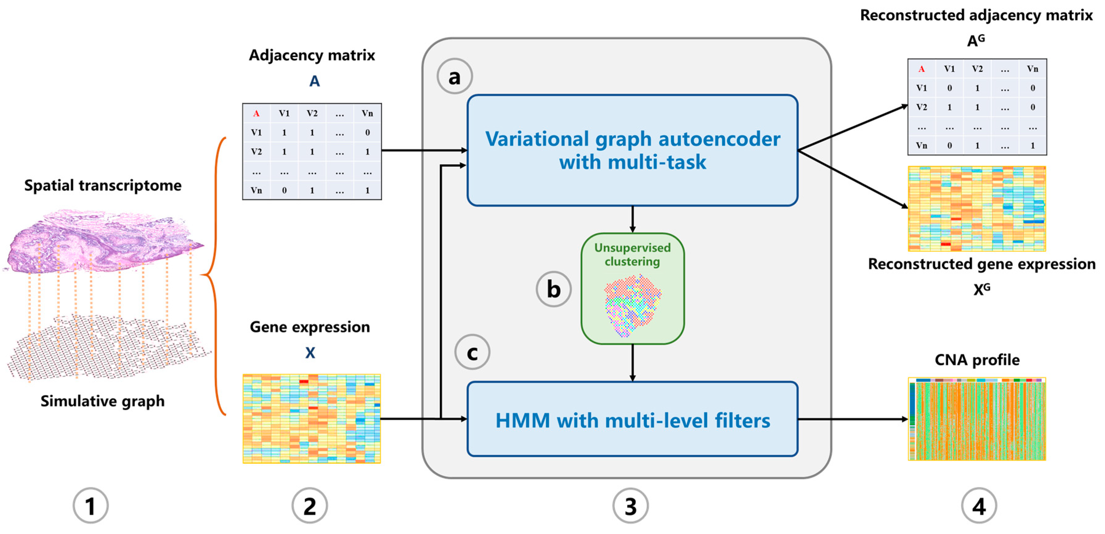 Biomolecules 13 00767 g001