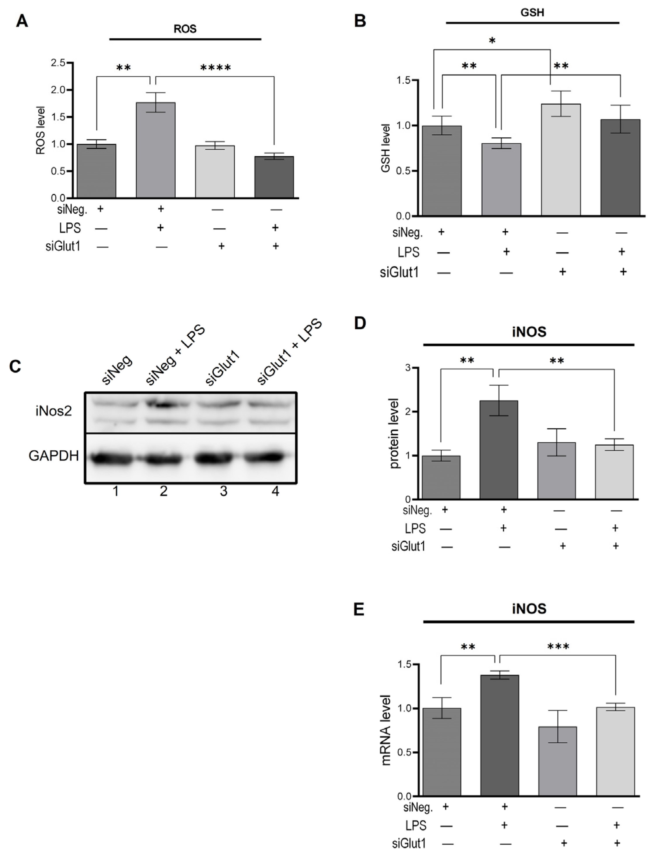 Biomolecules 13 00770 g002 Biomolecules 13 00770 g002
