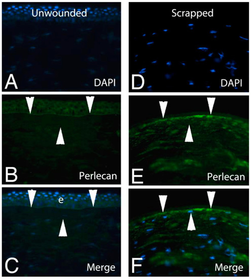 Biomolecules 13 00771 g002