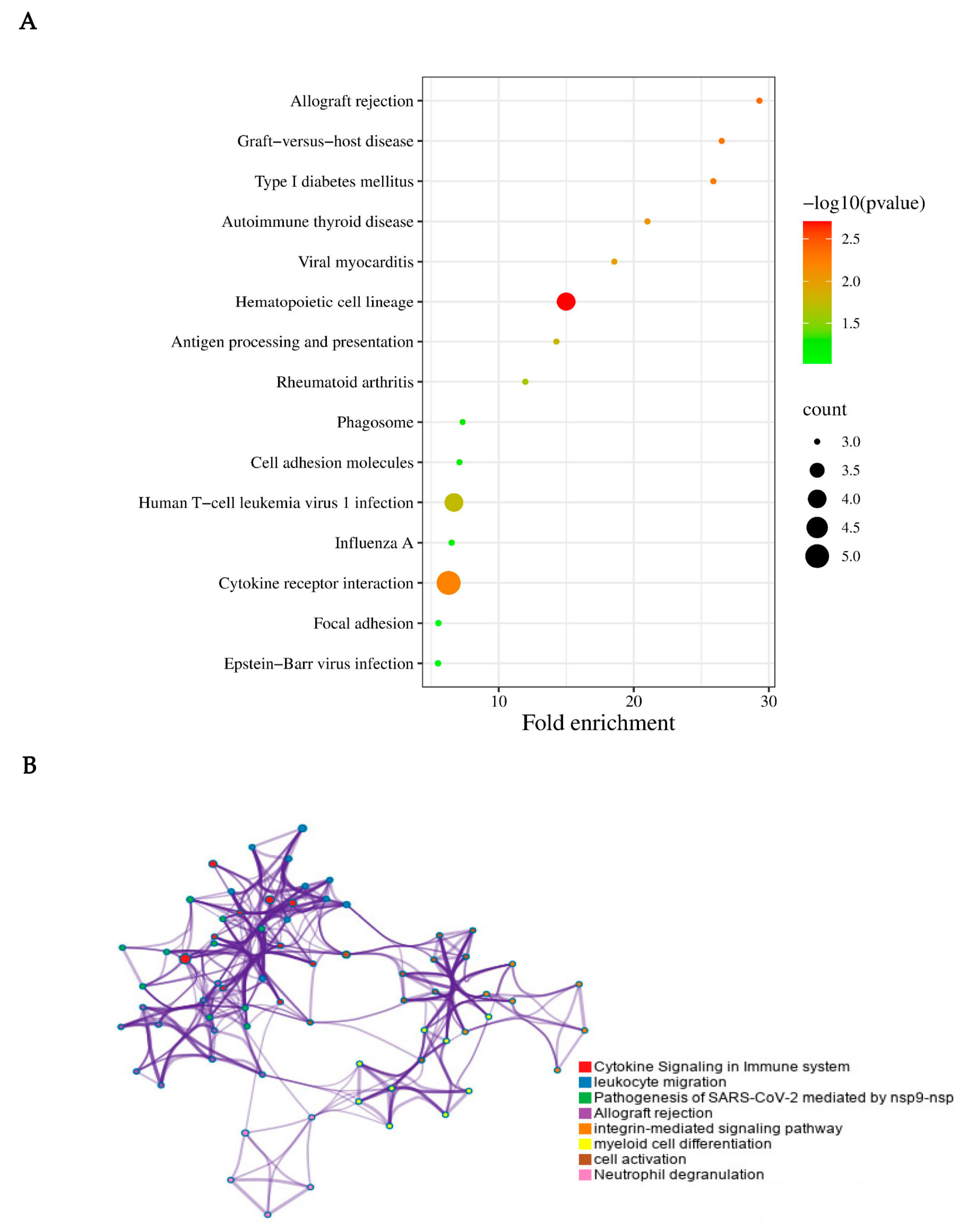 Biomolecules 13 00772 g004