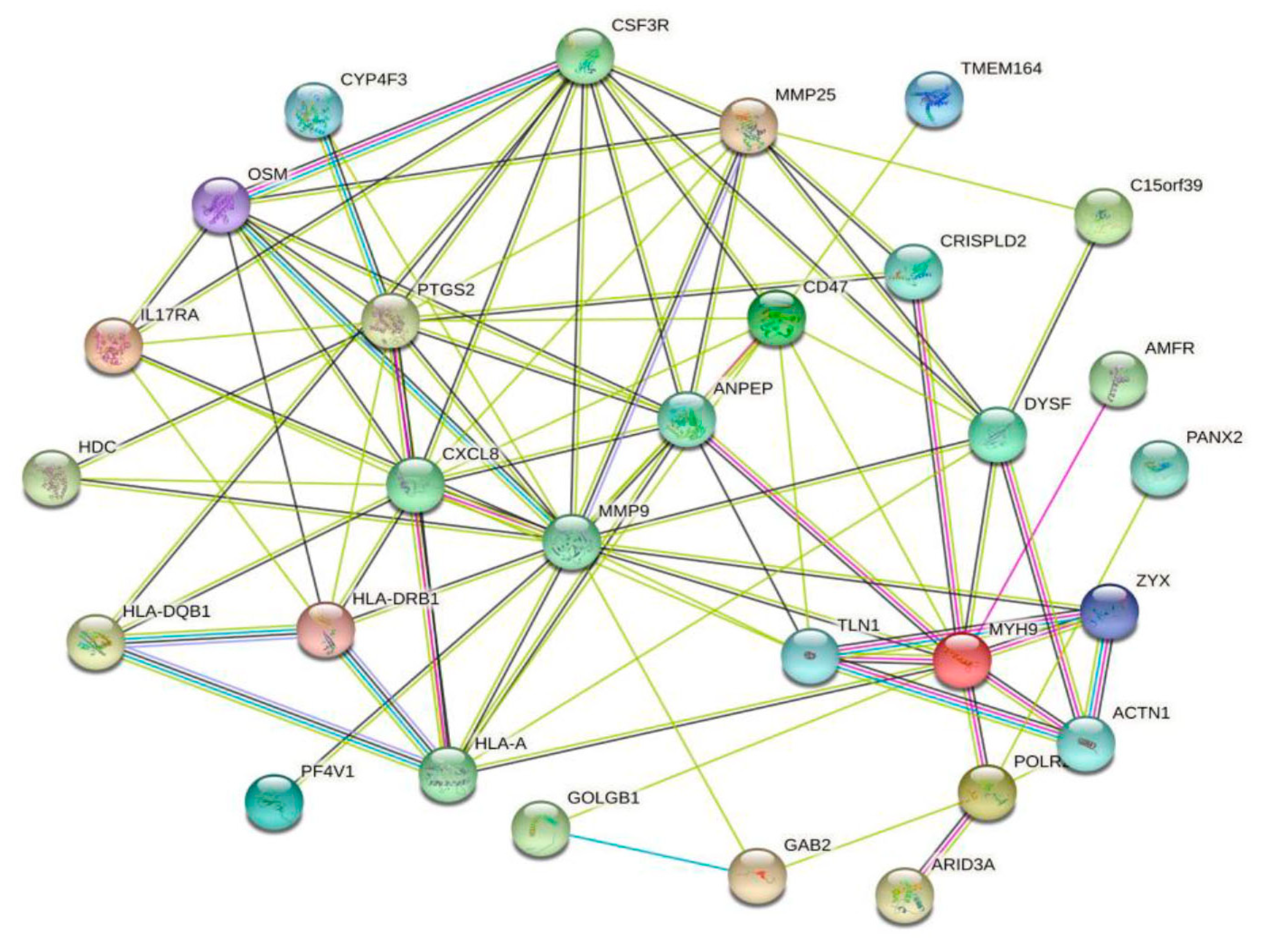 Biomolecules 13 00772 g005