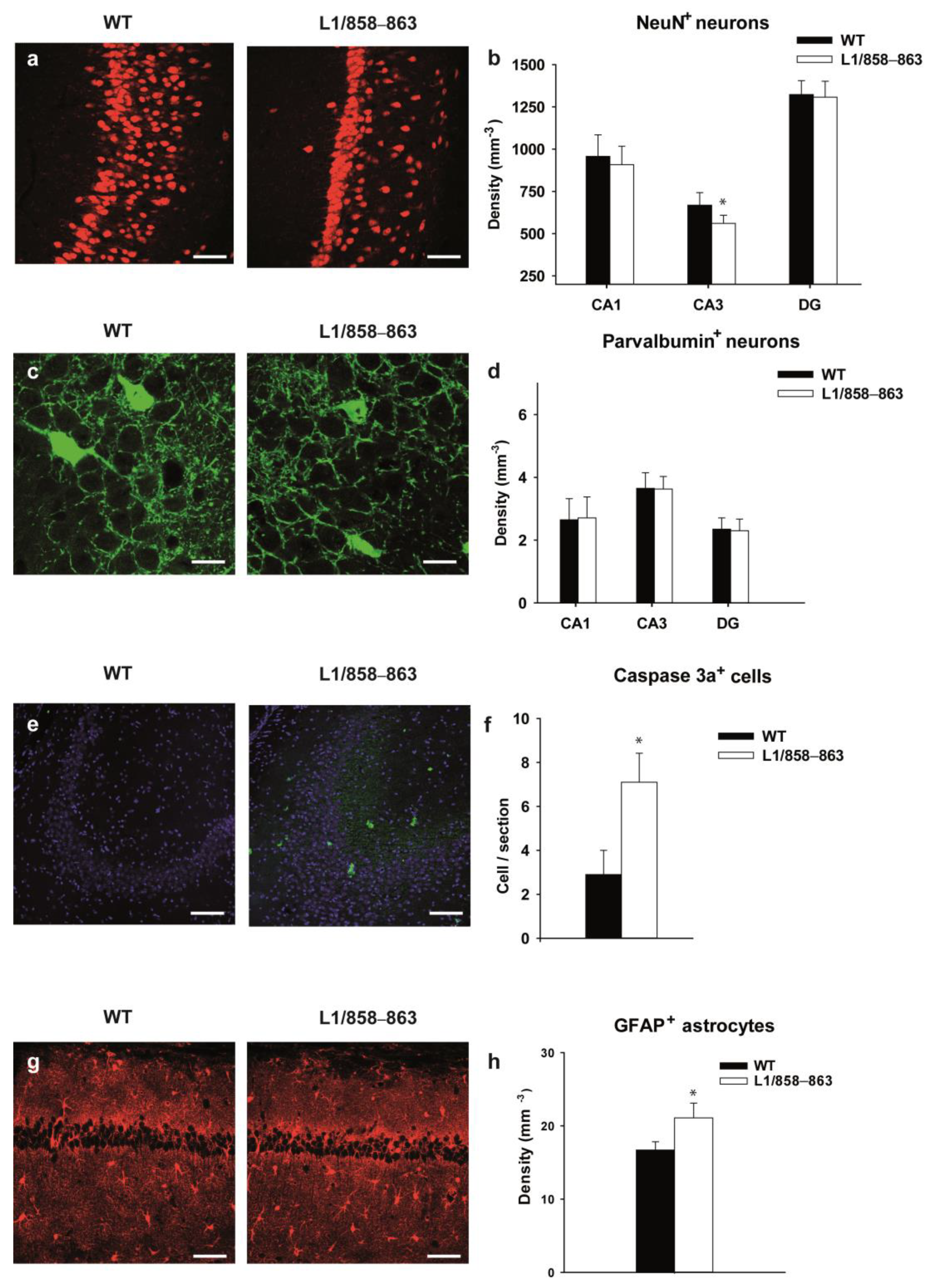 Biomolecules 13 00776 g008