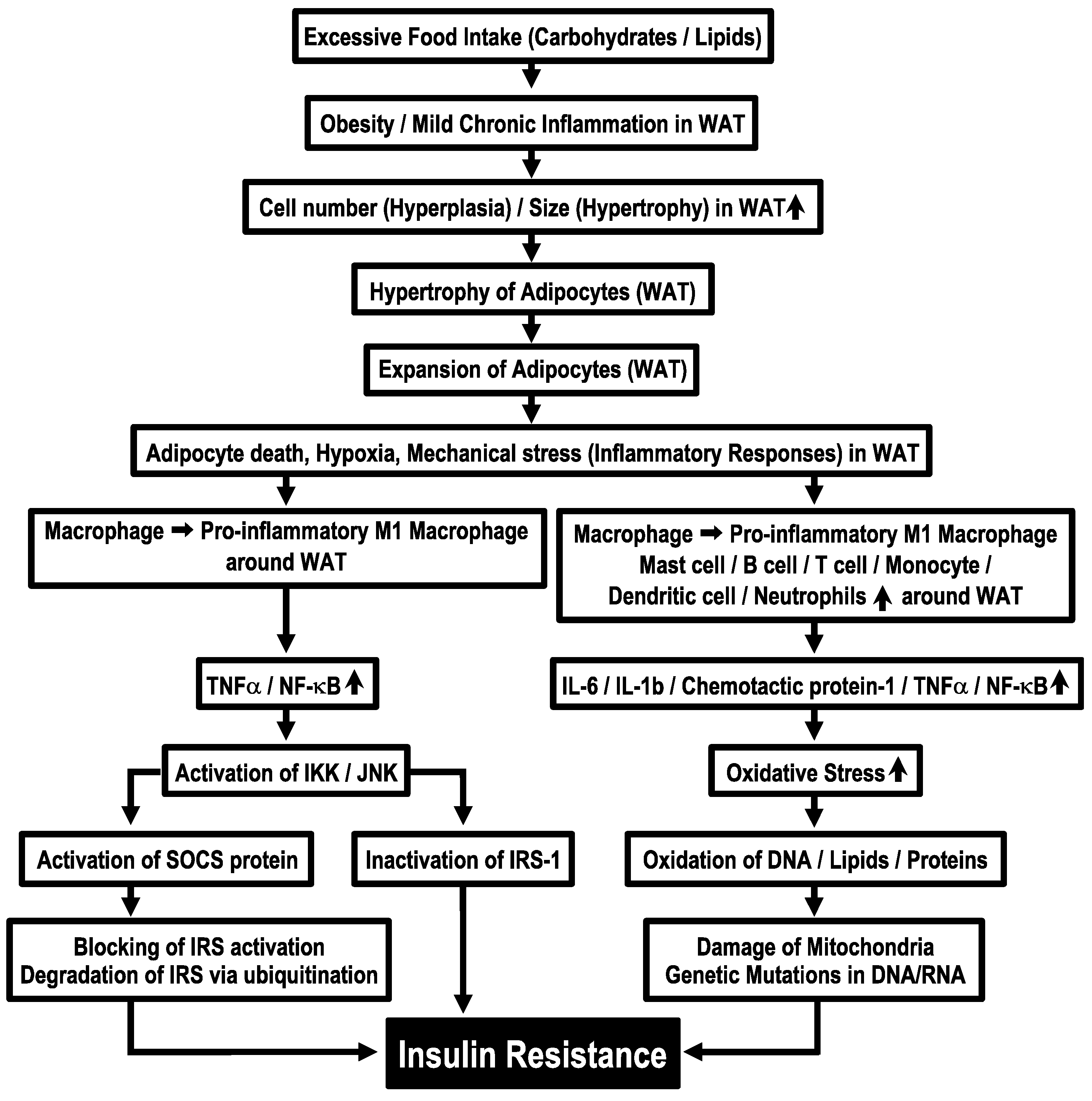 Biomolecules 13 00779 g001