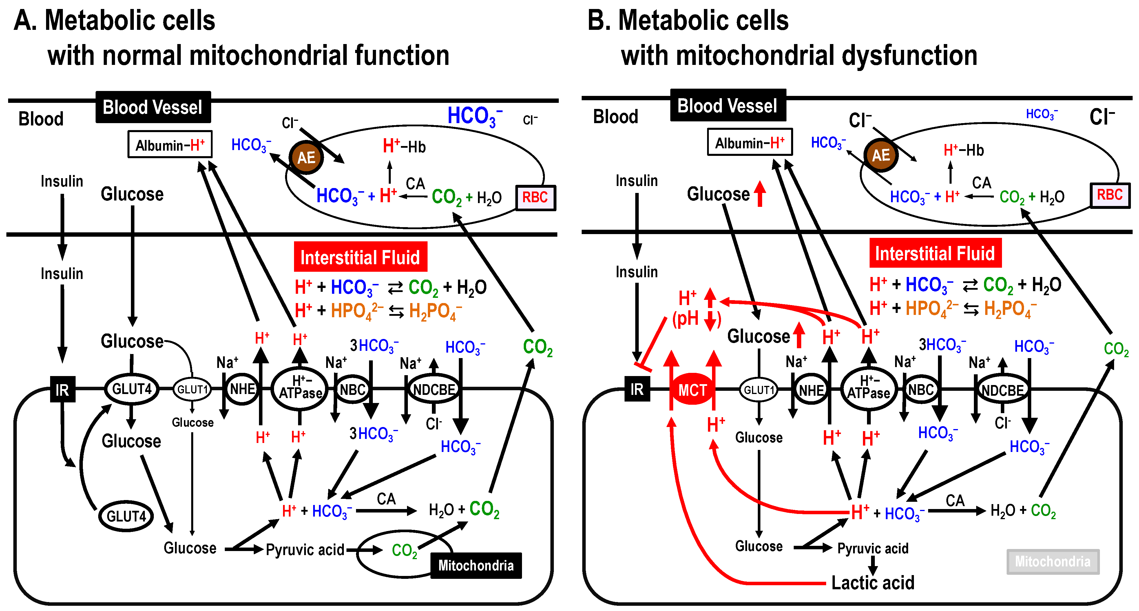 Biomolecules 13 00779 g003