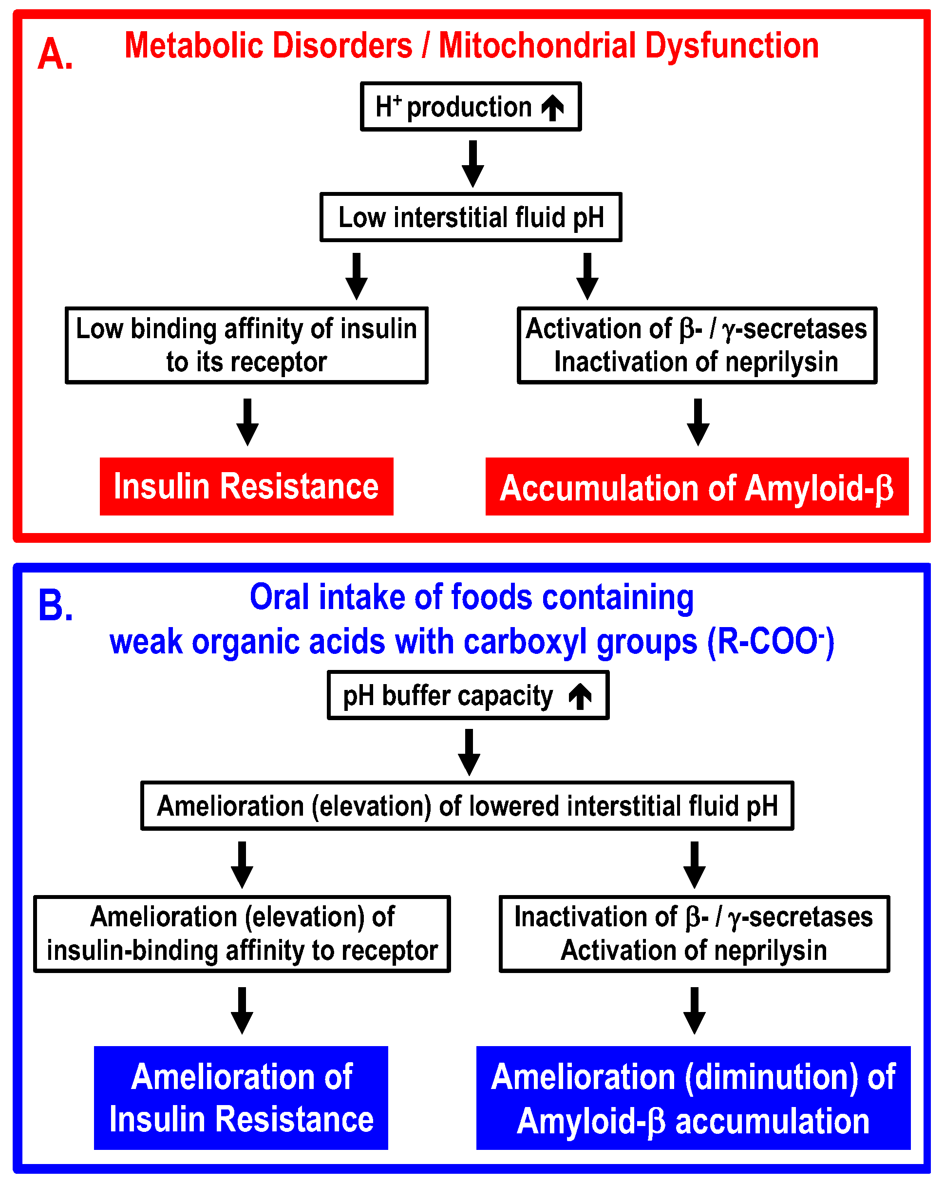 Biomolecules 13 00779 g004