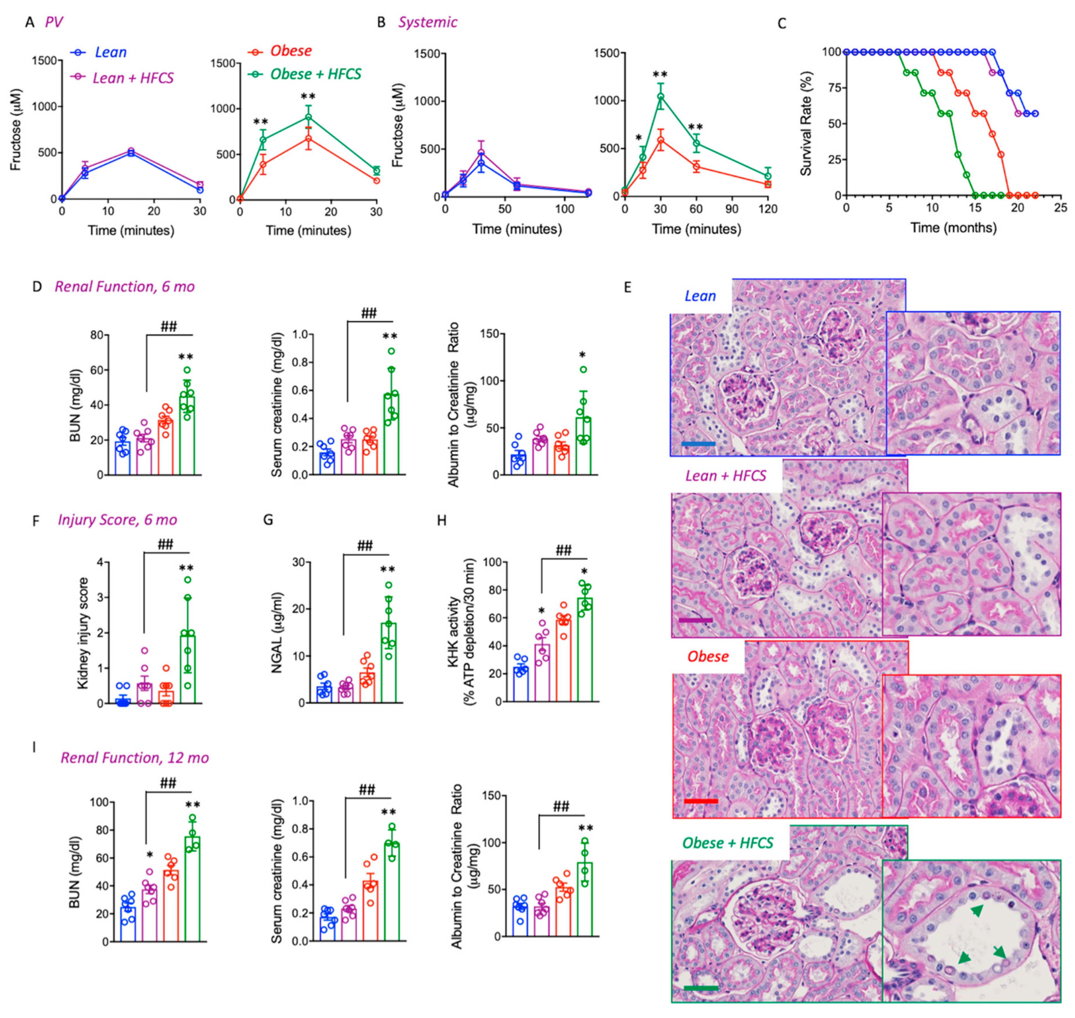 Biomolecules 13 00780 g002