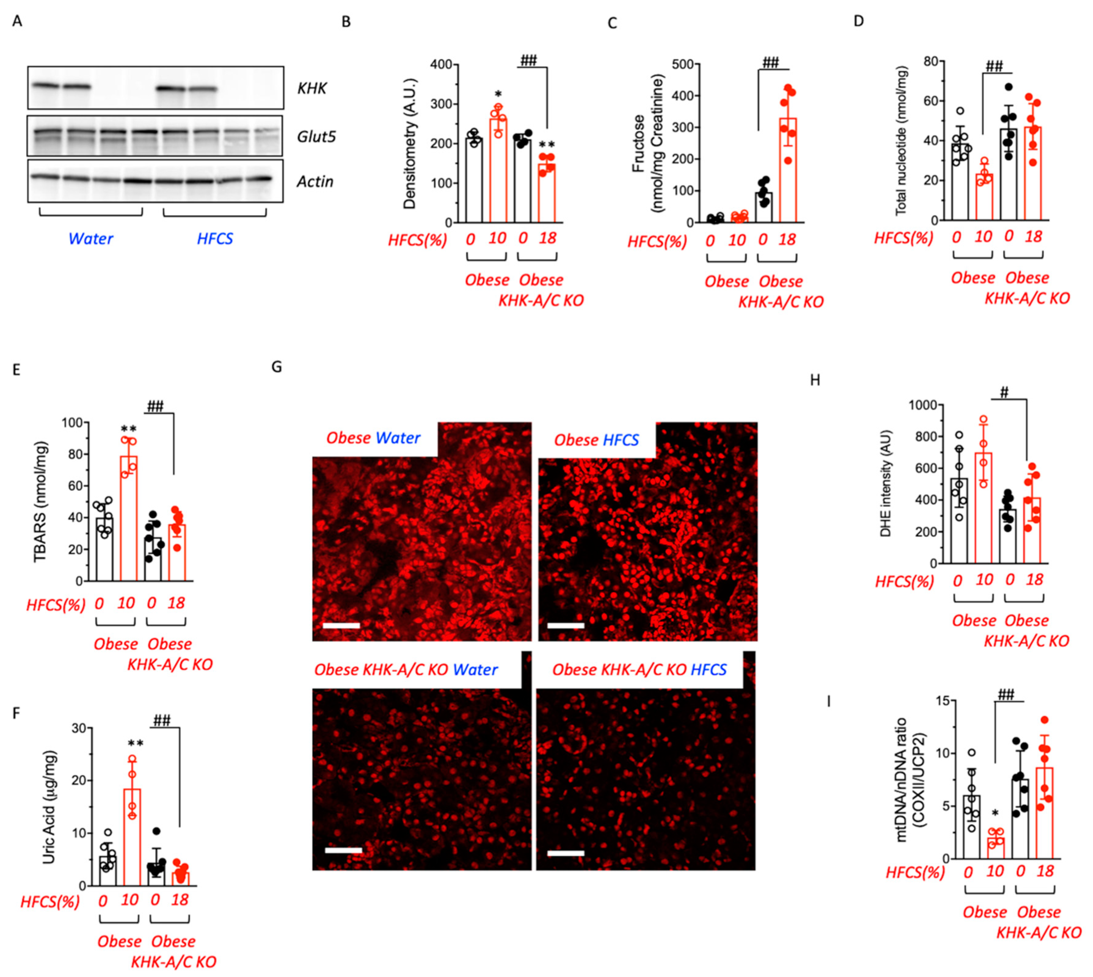 Biomolecules 13 00780 g004