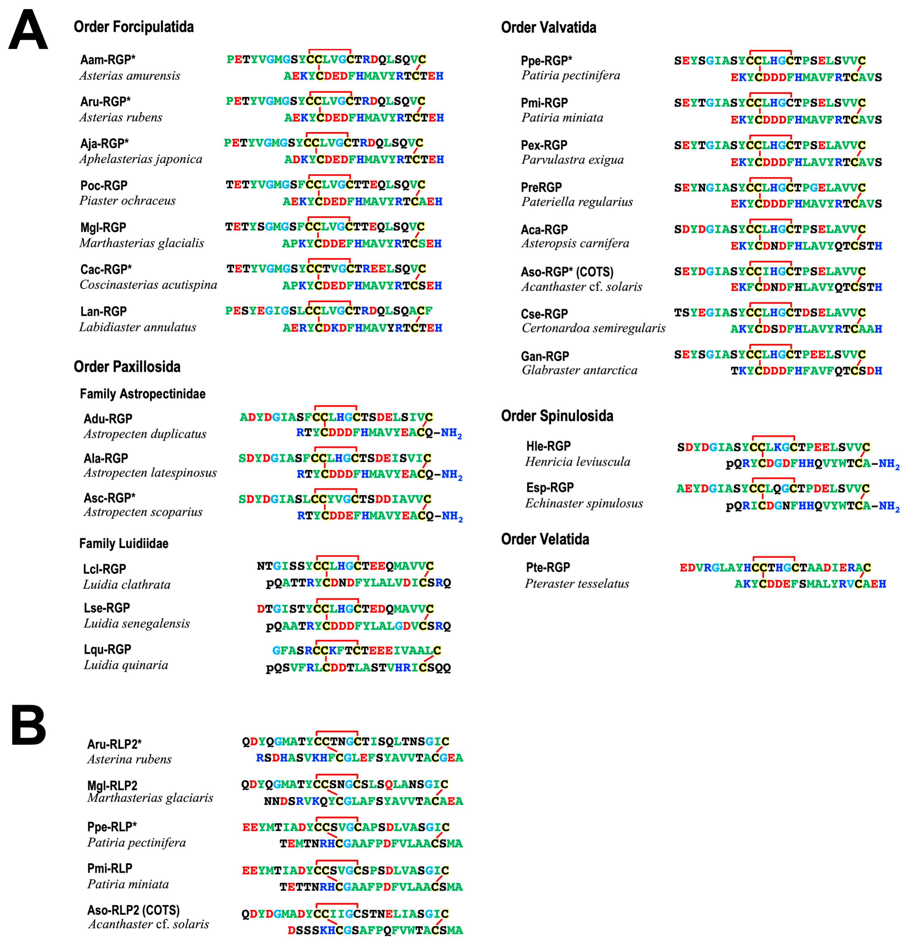 Biomolecules 13 00781 g002