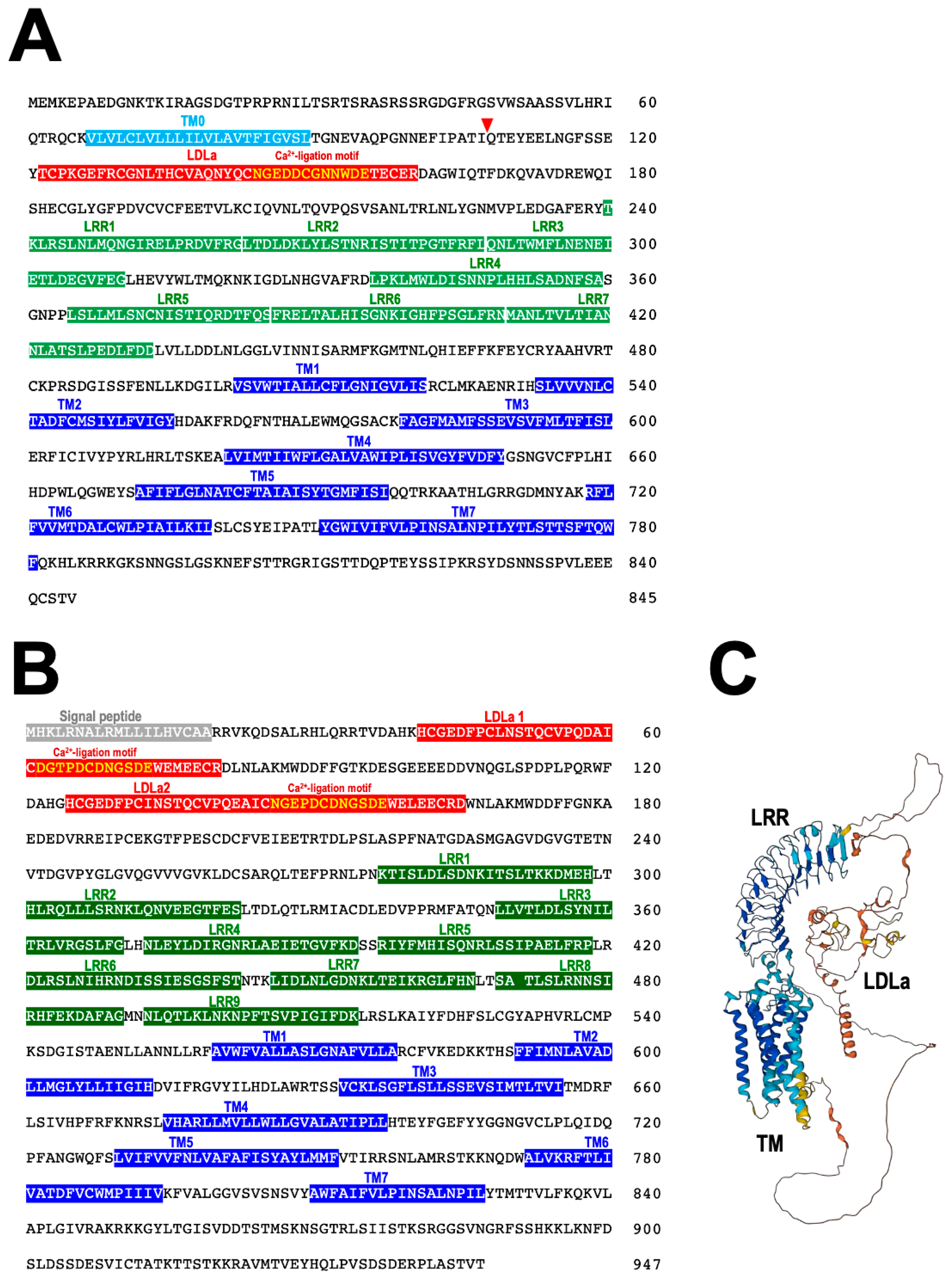 Biomolecules 13 00781 g007