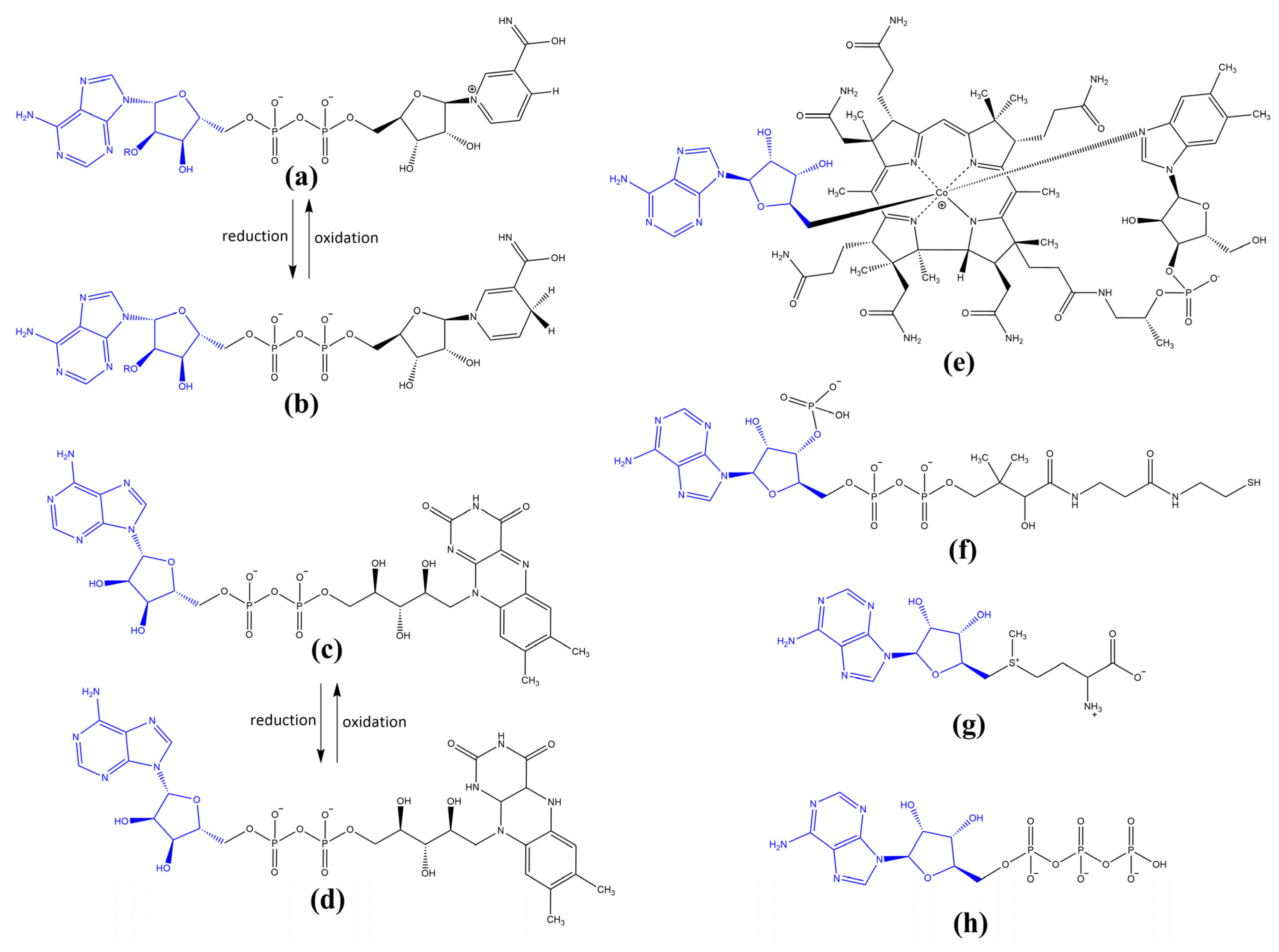 Biomolecules 13 00782 g001