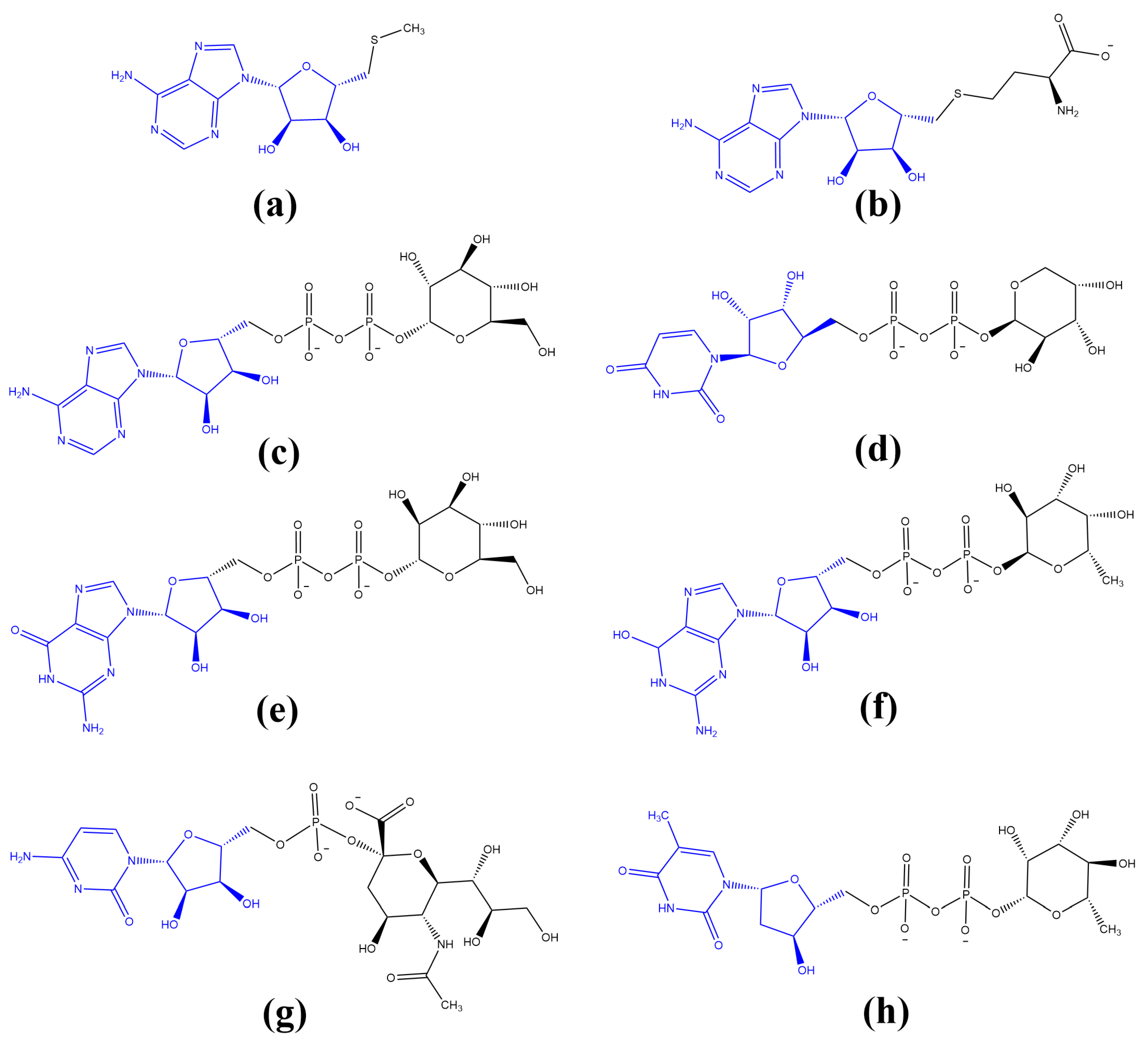 Biomolecules 13 00782 g005