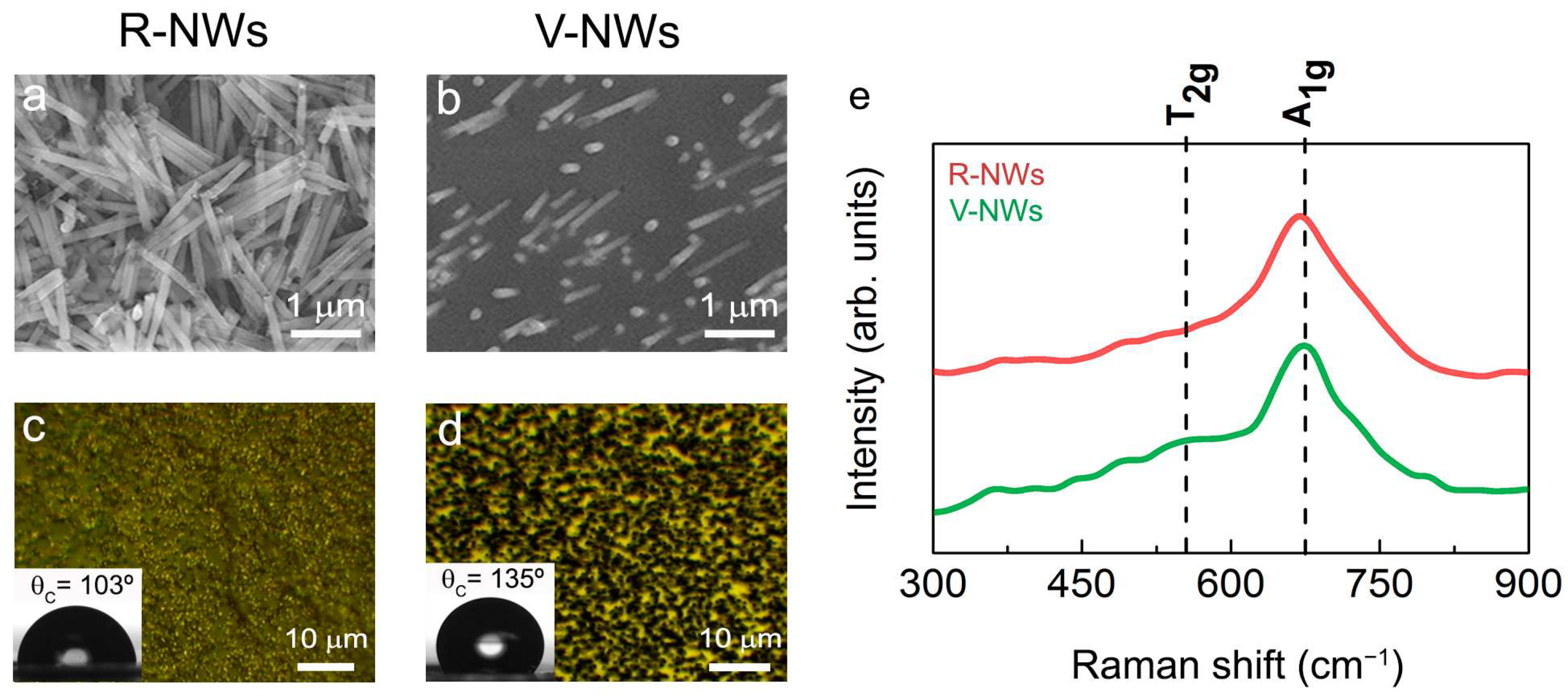 Biomolecules 13 00783 g001 Biomolecules 13 00783 g001