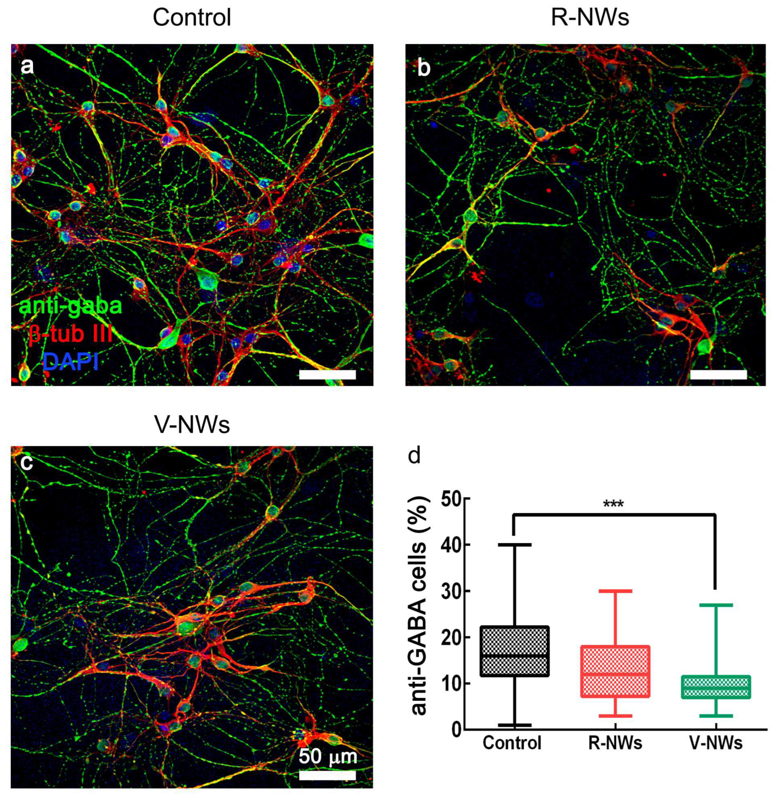 Biomolecules 13 00783 g004 Biomolecules 13 00783 g004