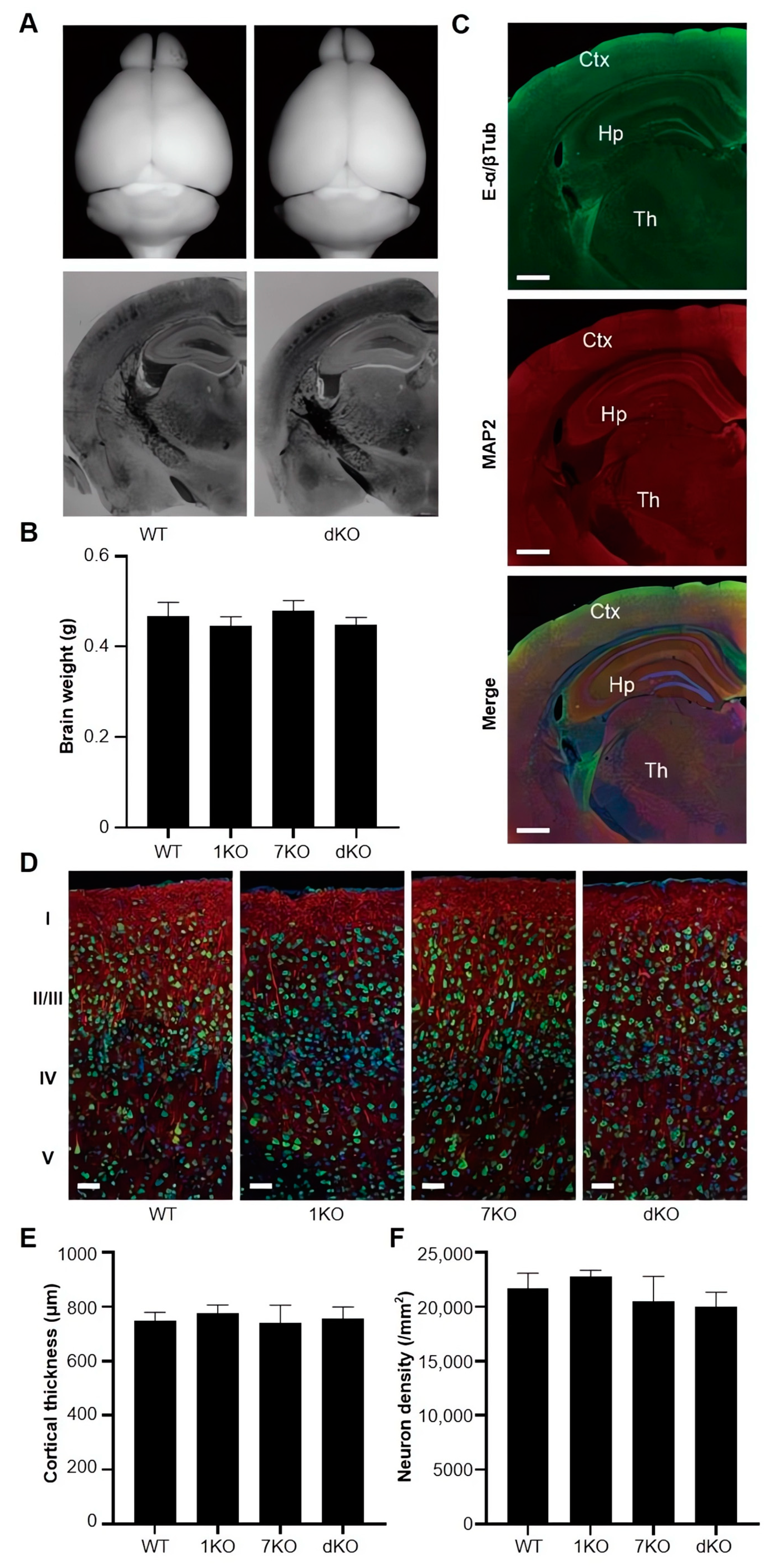 Biomolecules 13 00784 g004