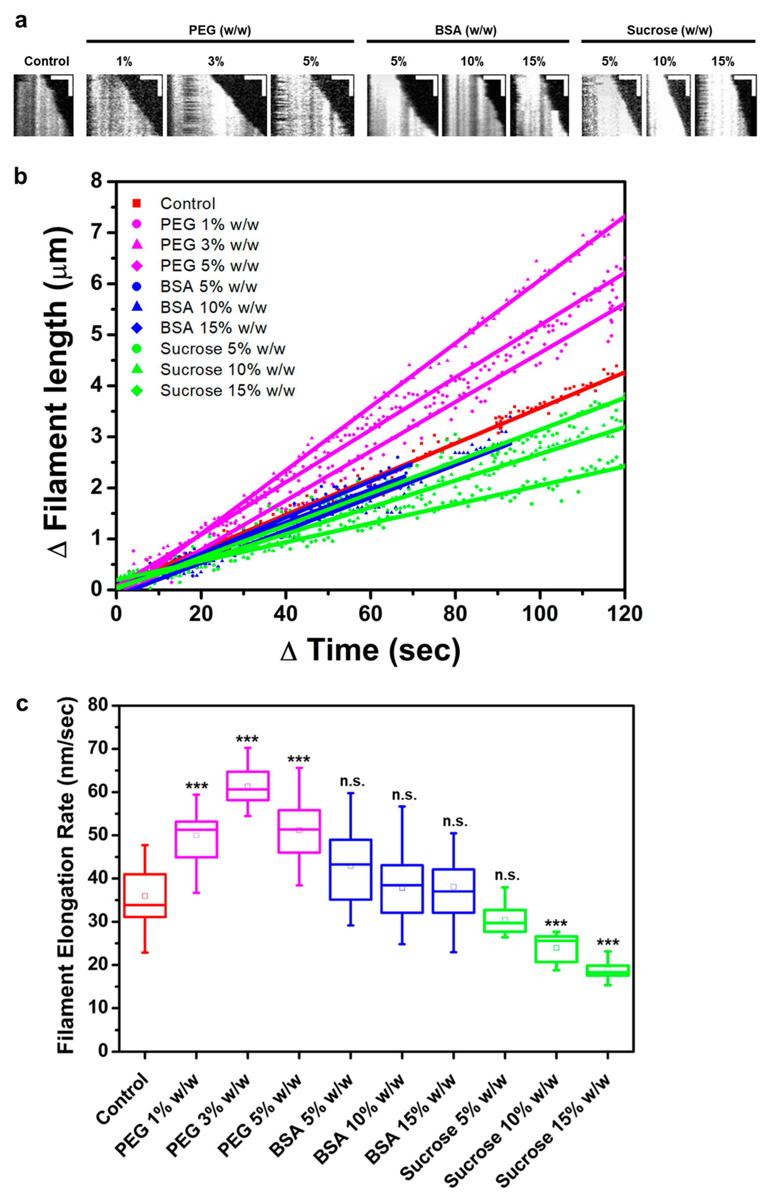 Biomolecules 13 00786 g002