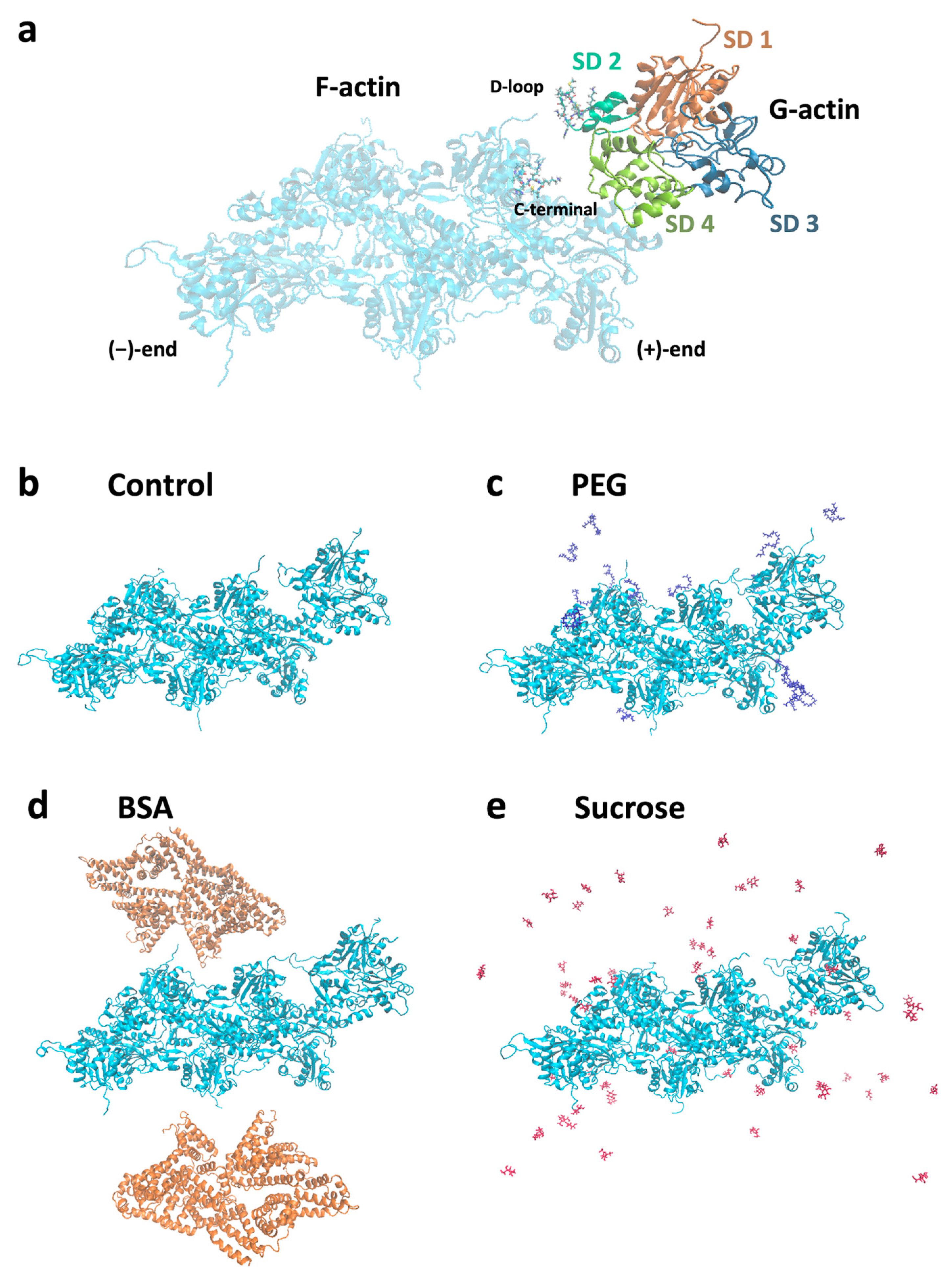 Biomolecules 13 00786 g004