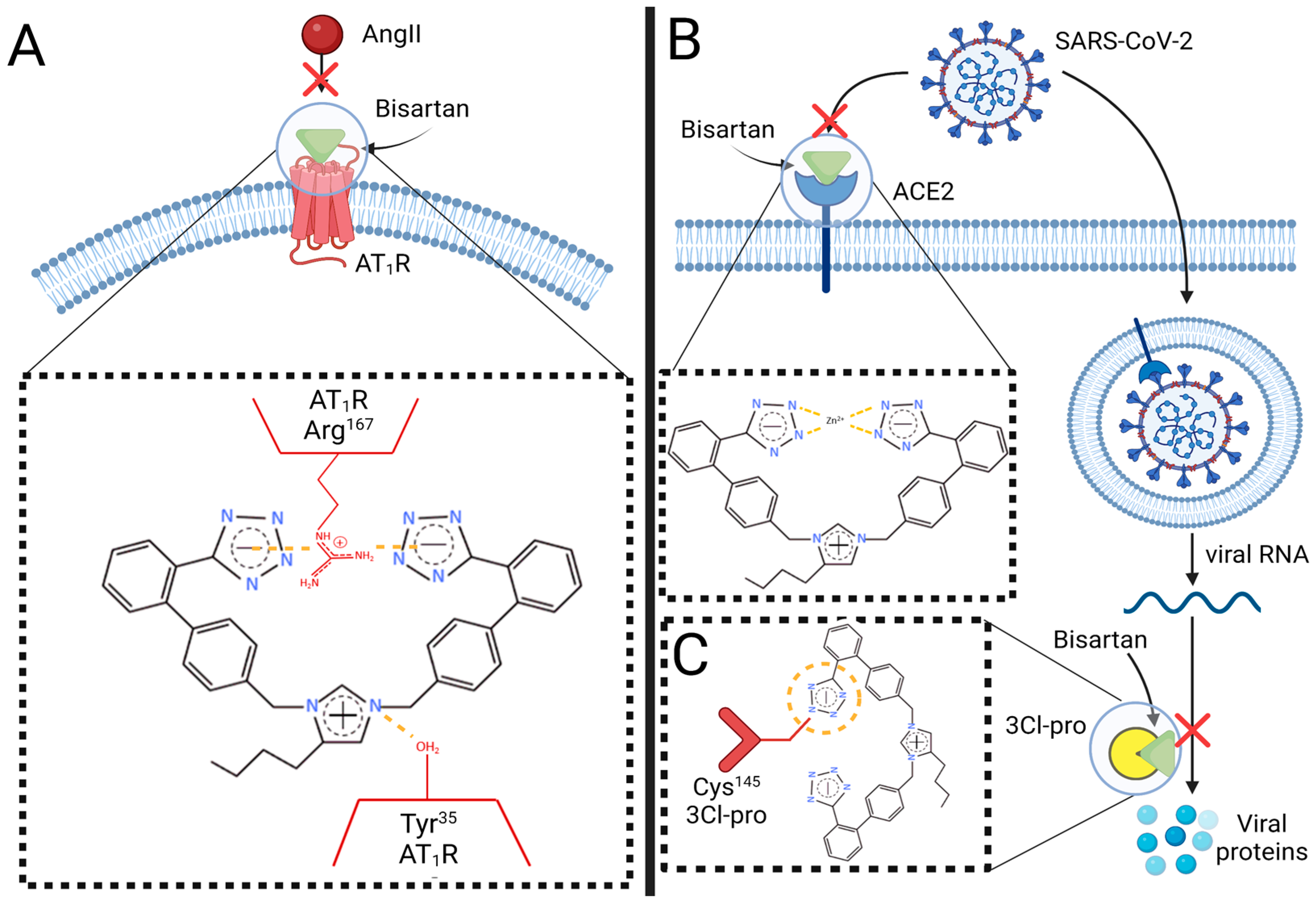 Biomolecules 13 00787 g002 Biomolecules 13 00787 g002