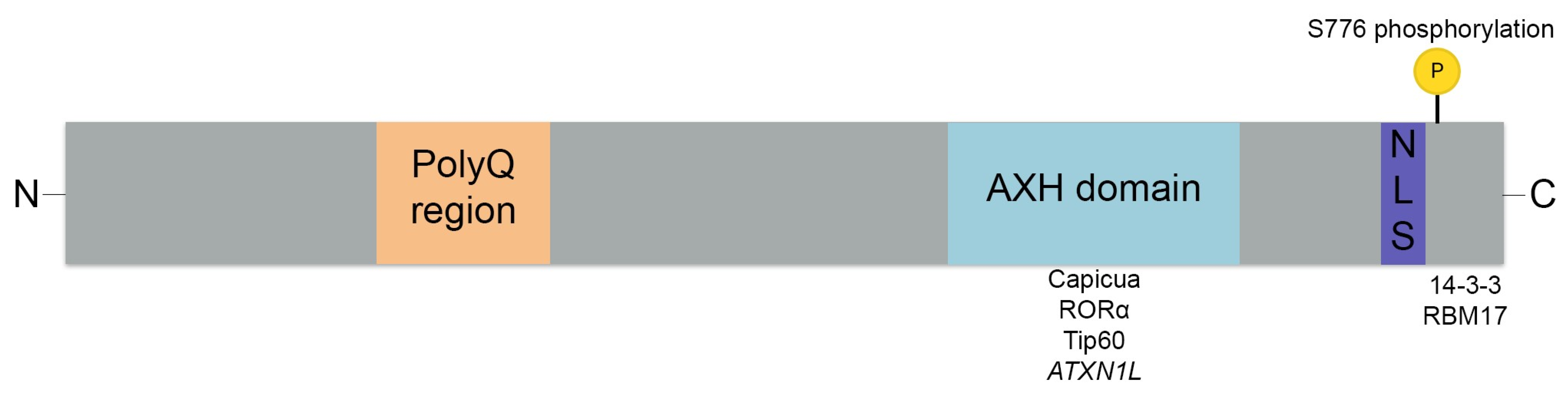 Biomolecules 13 00788 g001