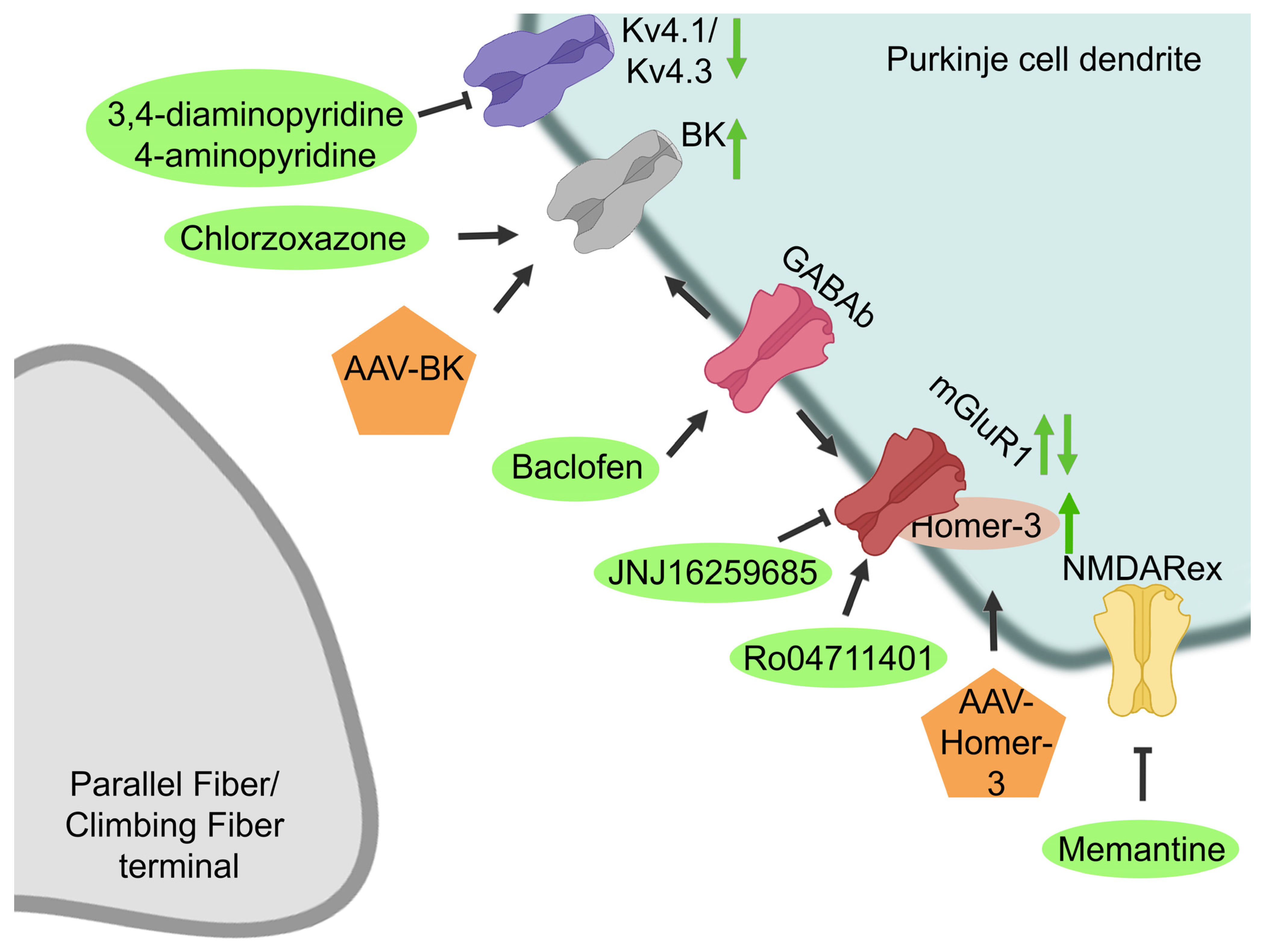 Biomolecules 13 00788 g003