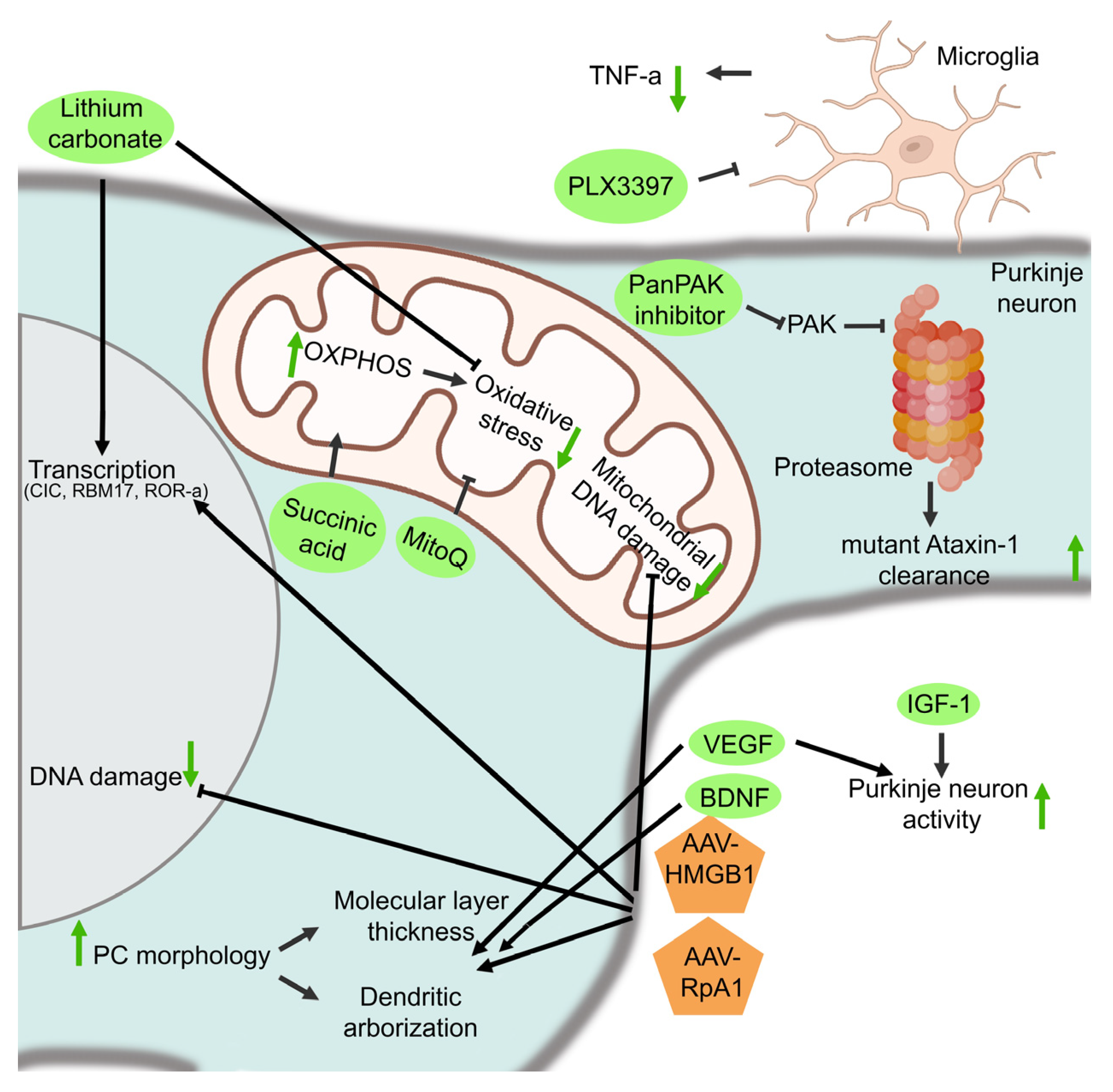 Biomolecules 13 00788 g005