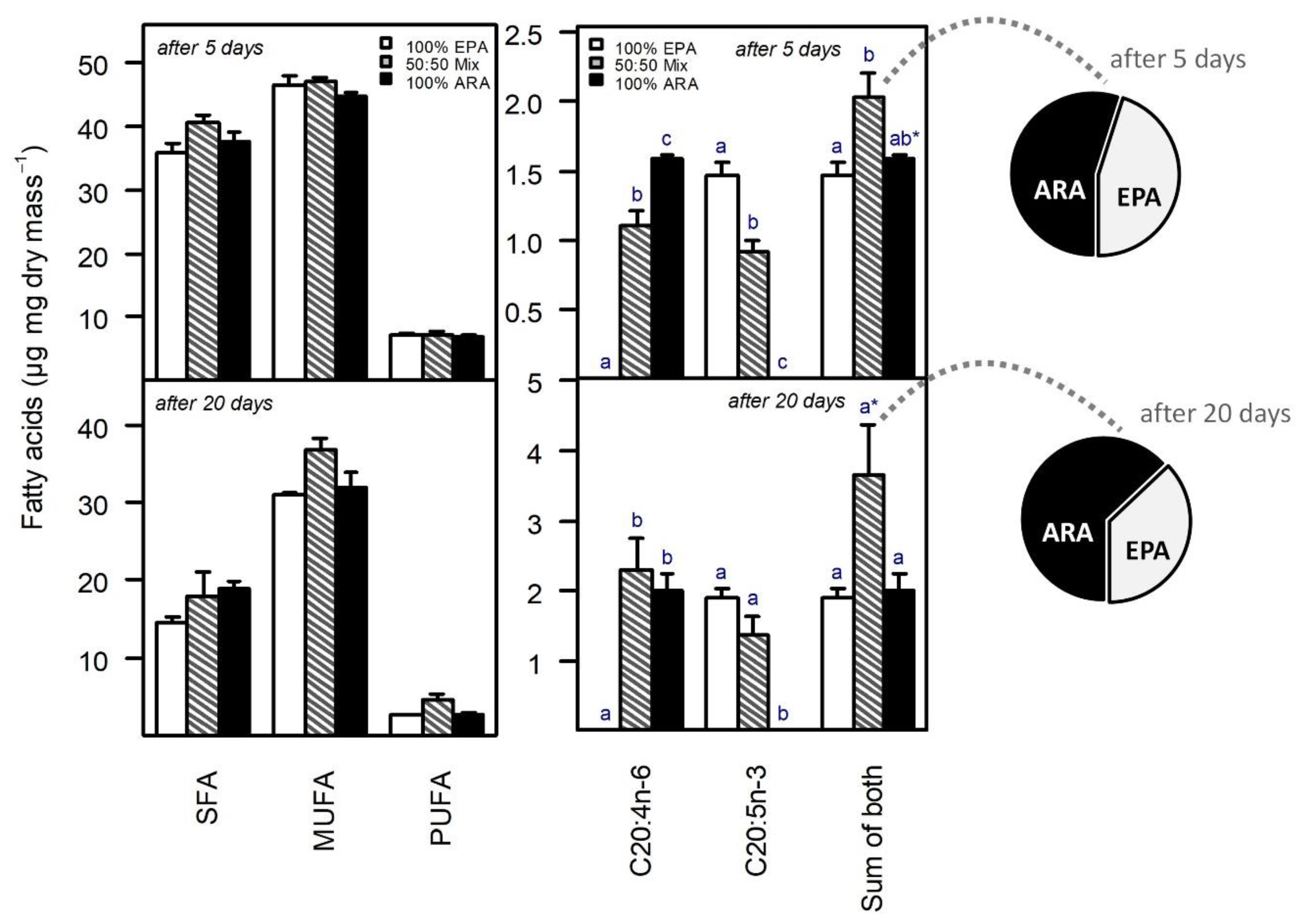 Biomolecules 13 00791 g003