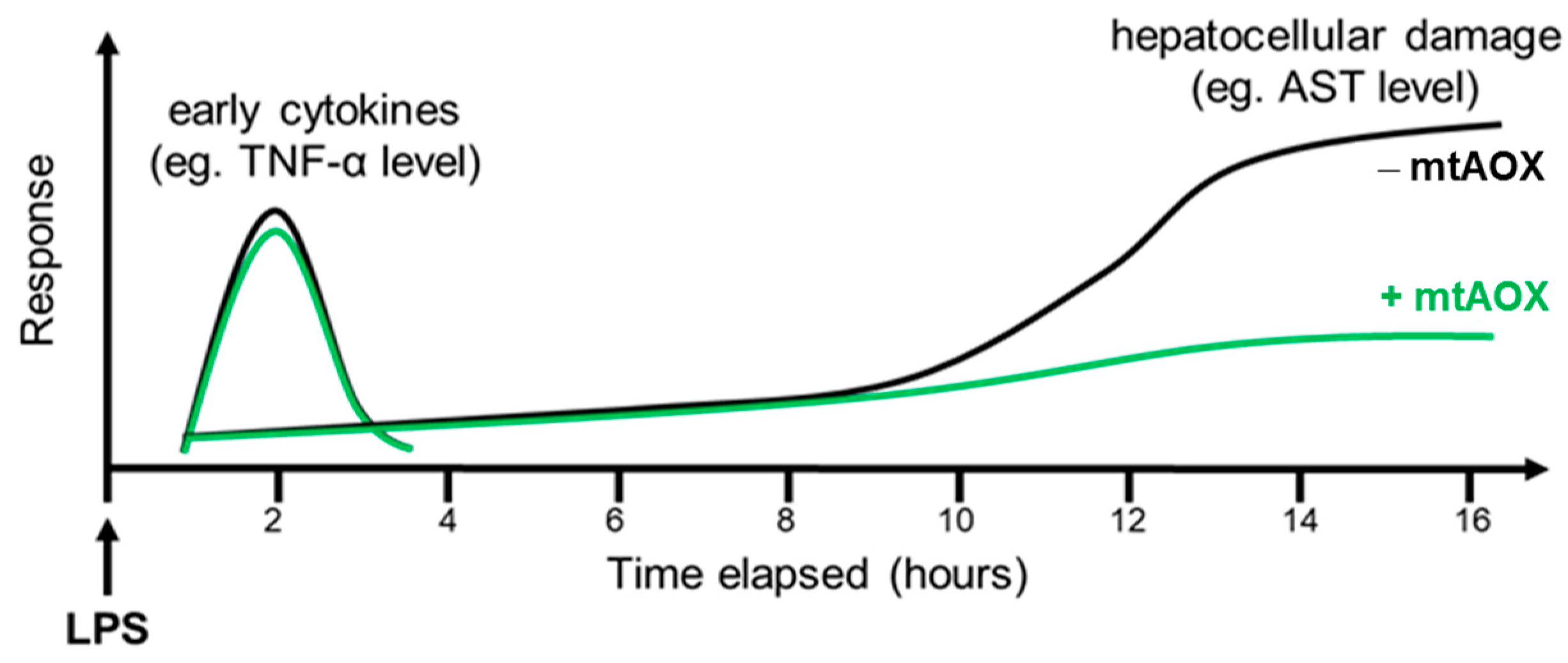Biomolecules 13 00794 g006