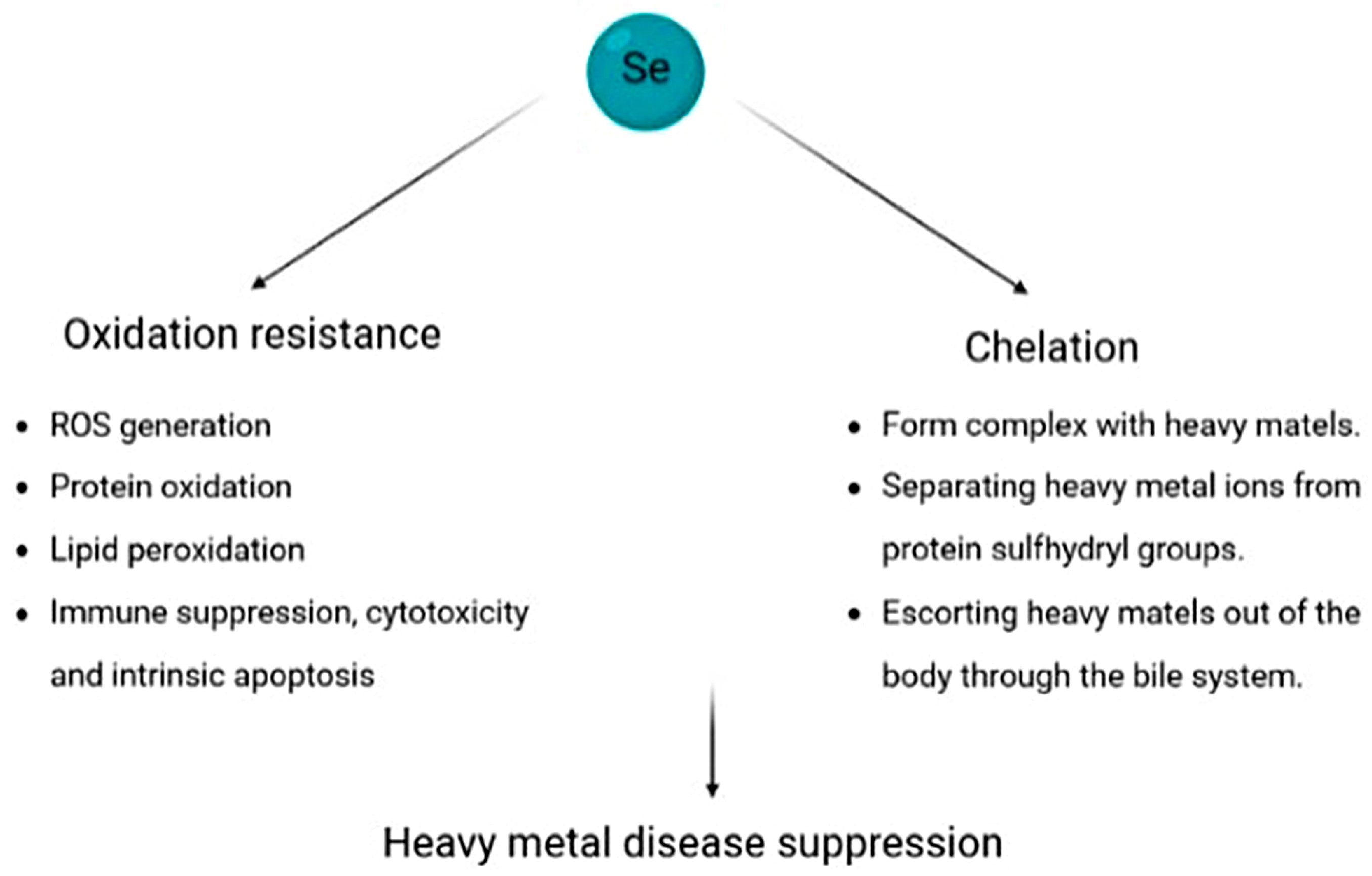 Biomolecules 13 00799 g006 Biomolecules 13 00799 g006