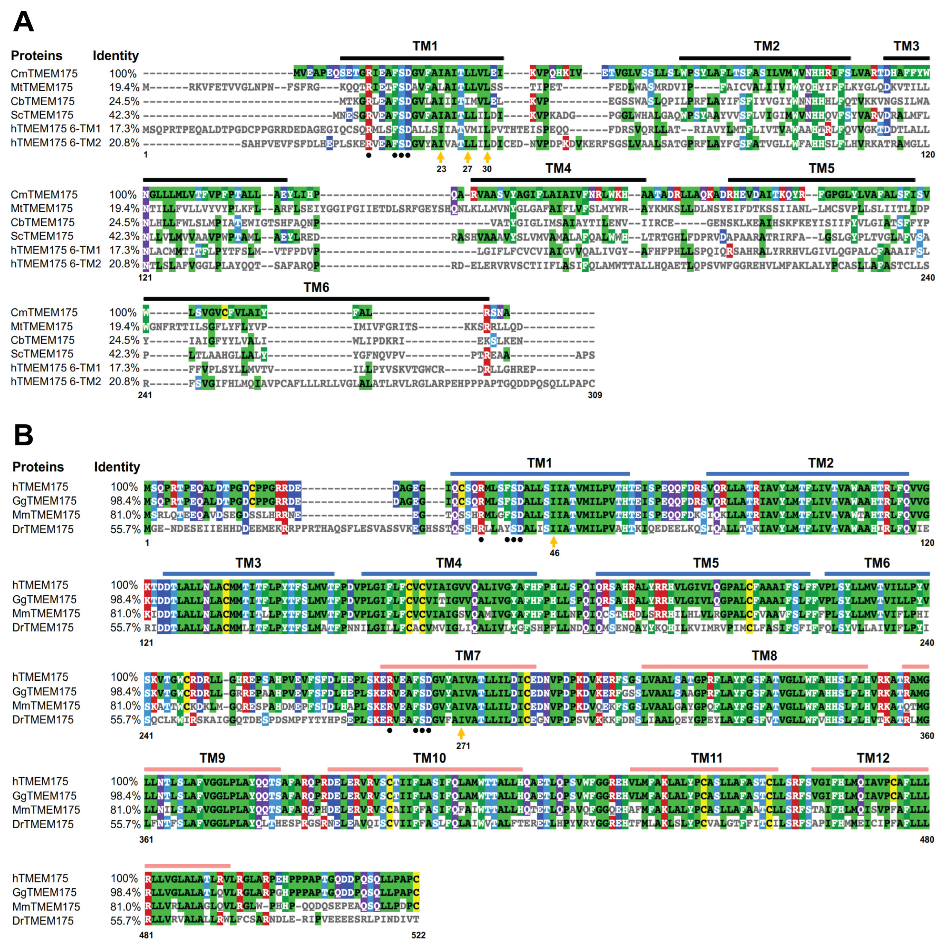 Biomolecules 13 00802 g001