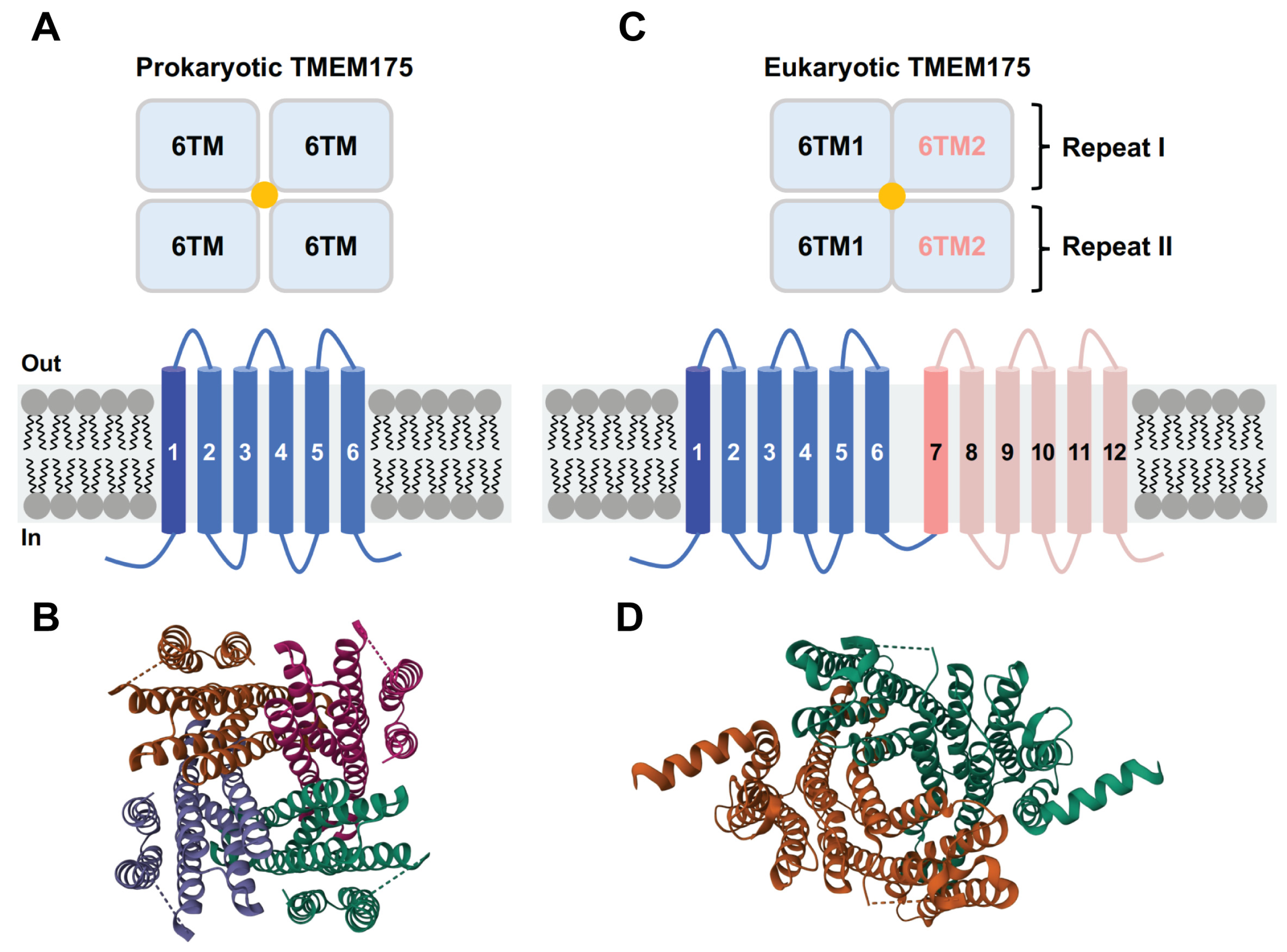 Biomolecules 13 00802 g002