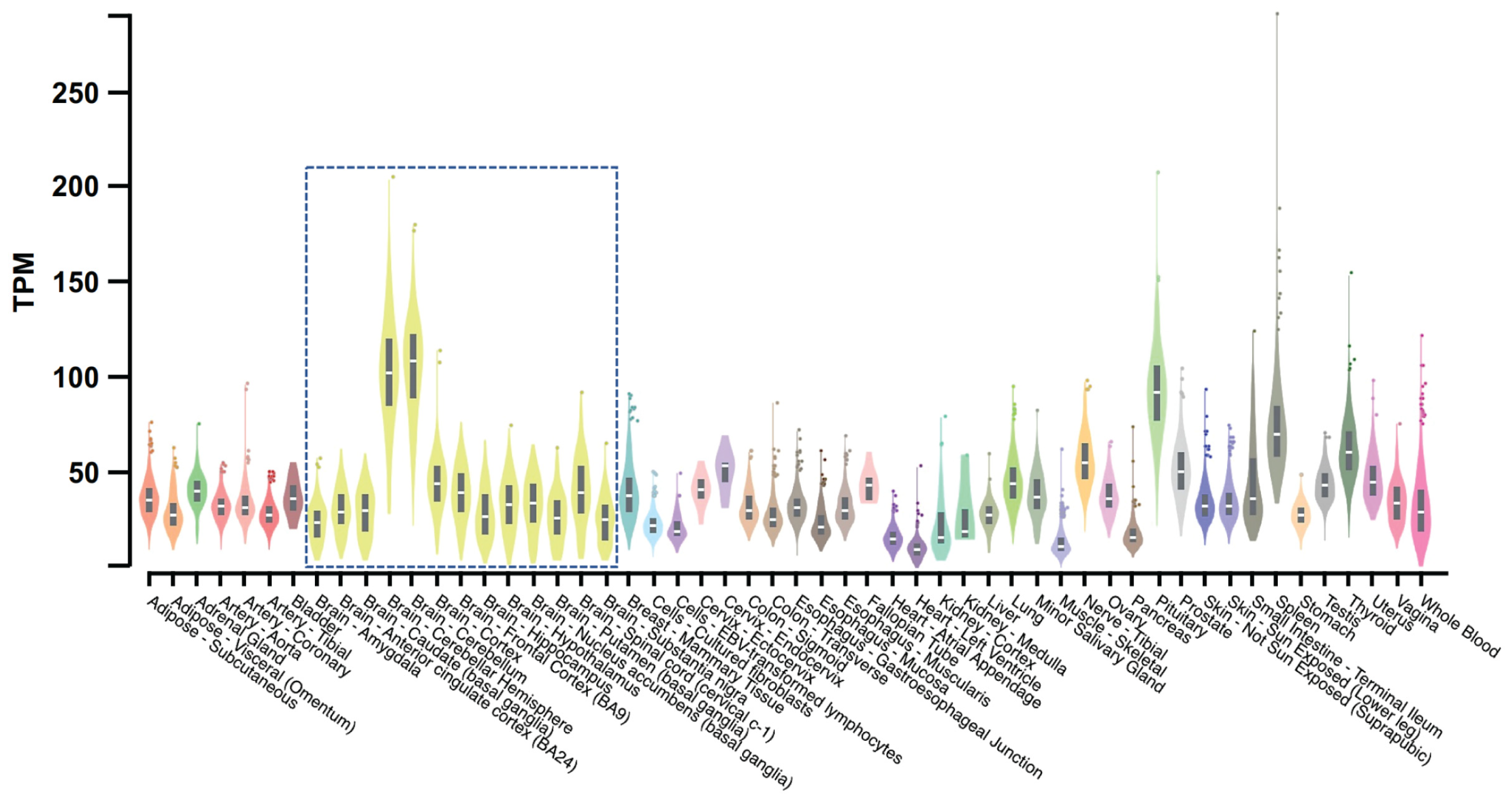 Biomolecules 13 00802 g004