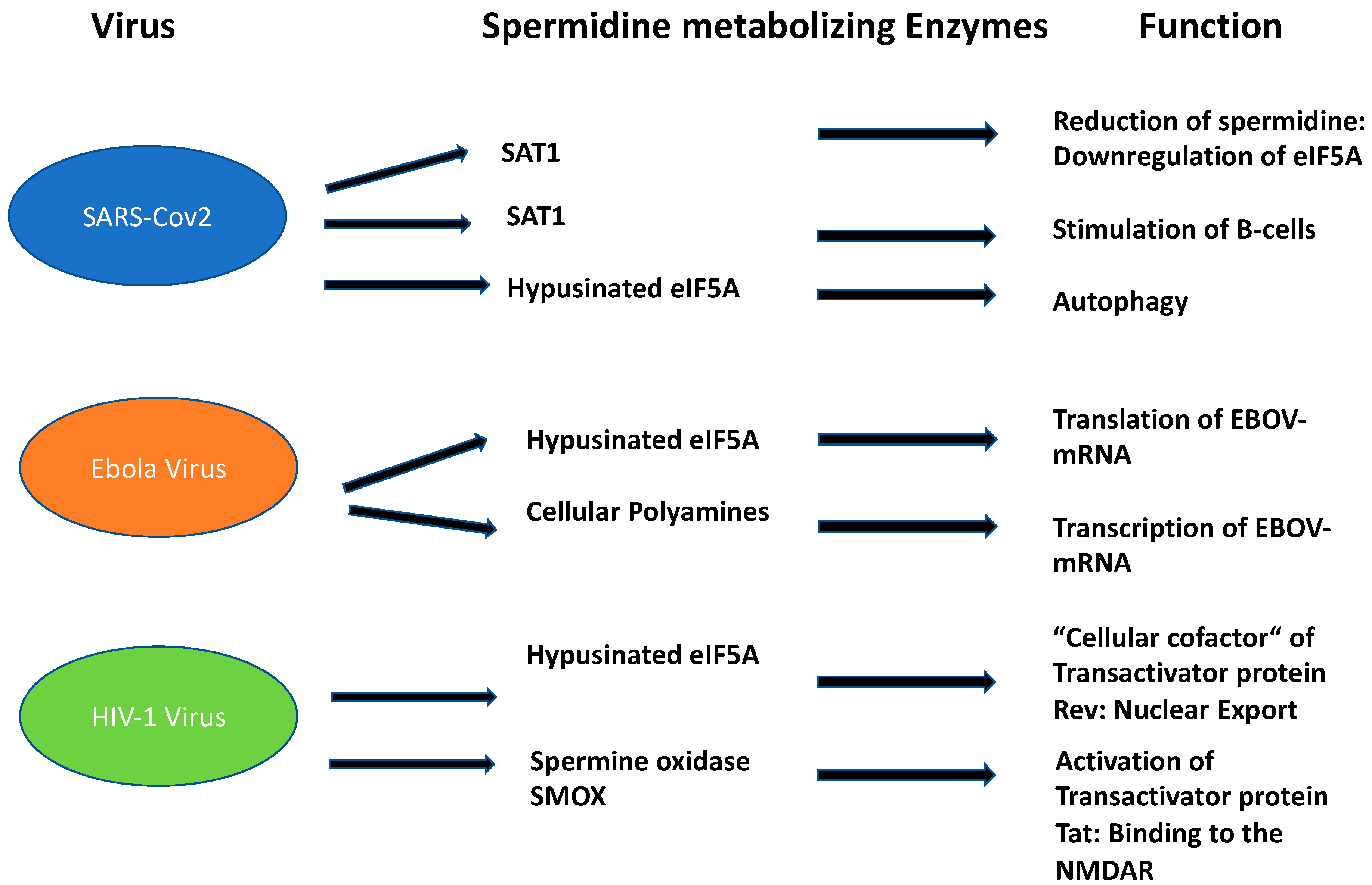 Biomolecules 13 00803 g003