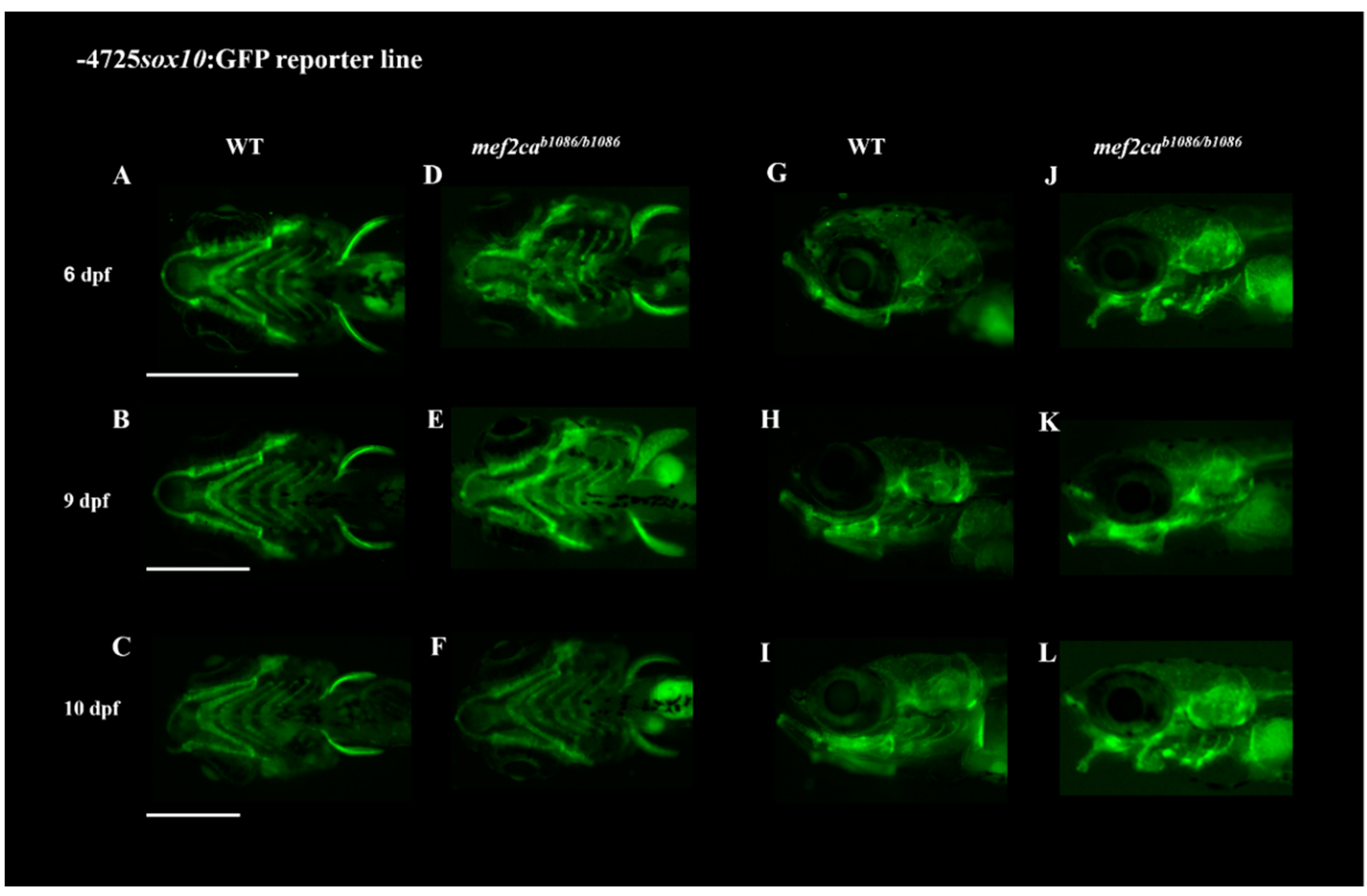 Biomolecules 13 00805 g005