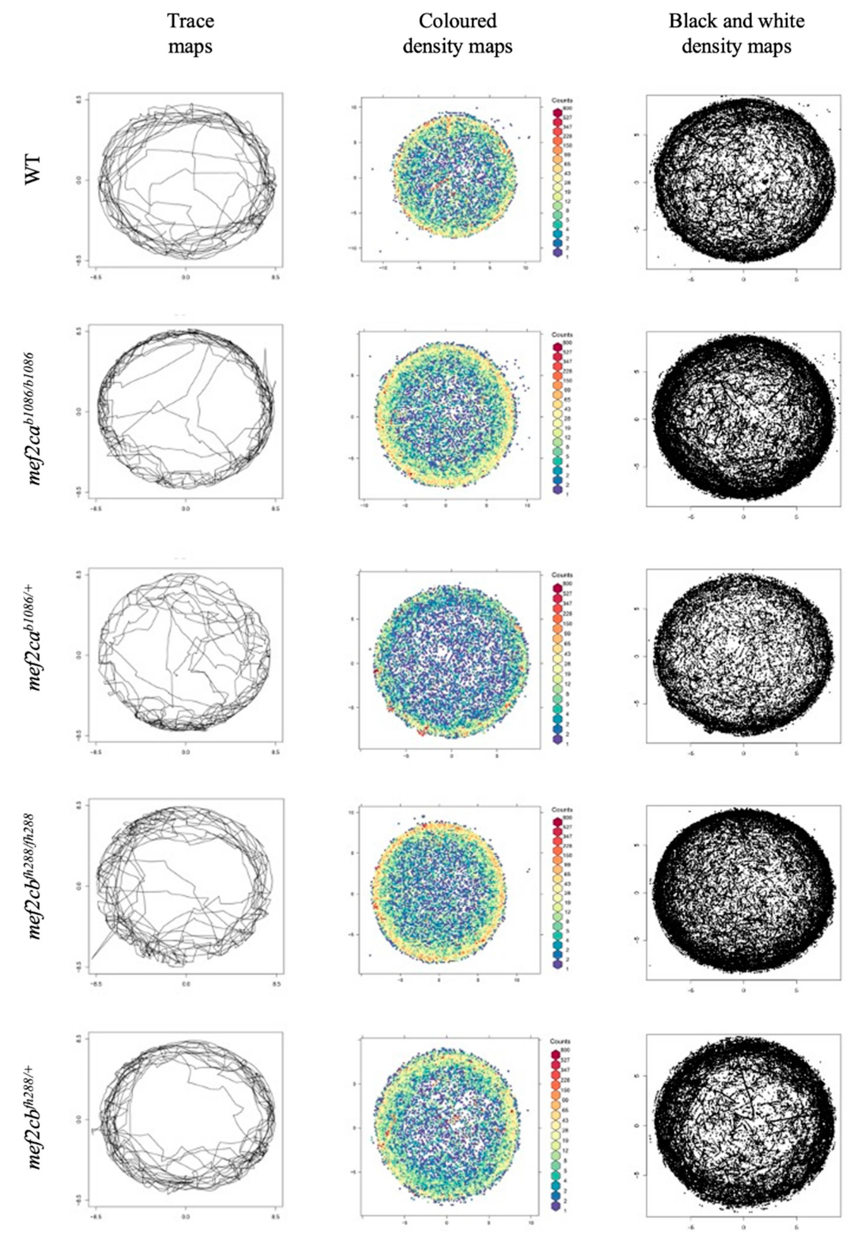 Biomolecules 13 00805 g009
