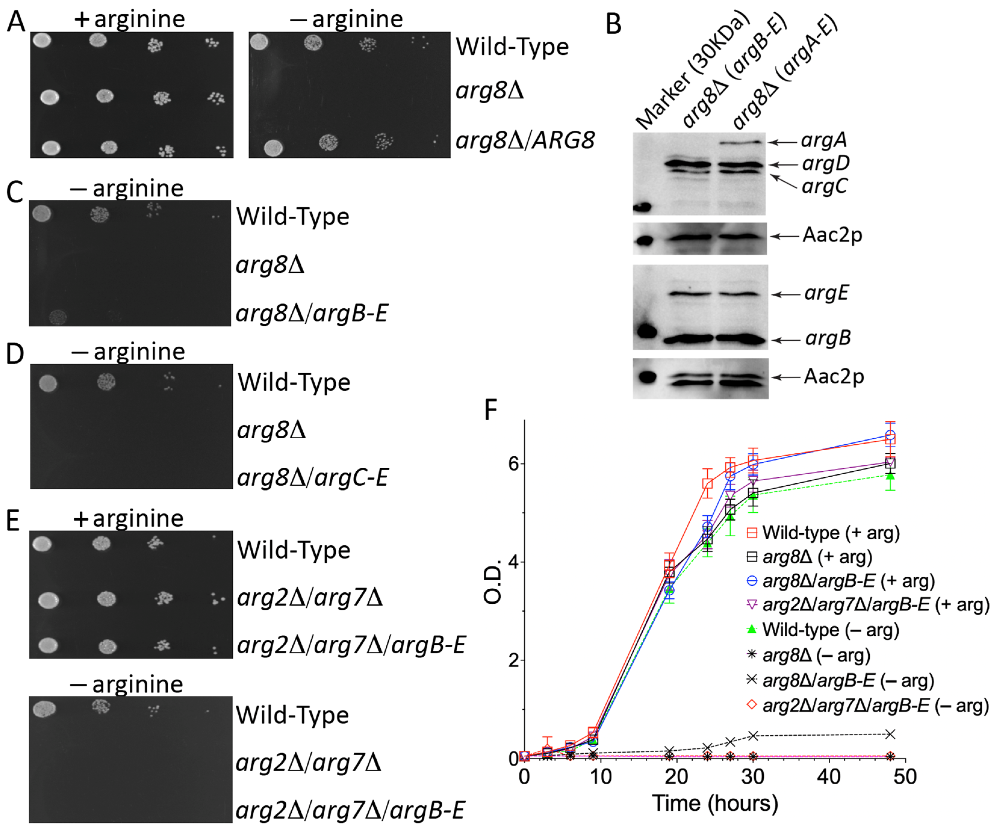 Biomolecules 13 00808 g003