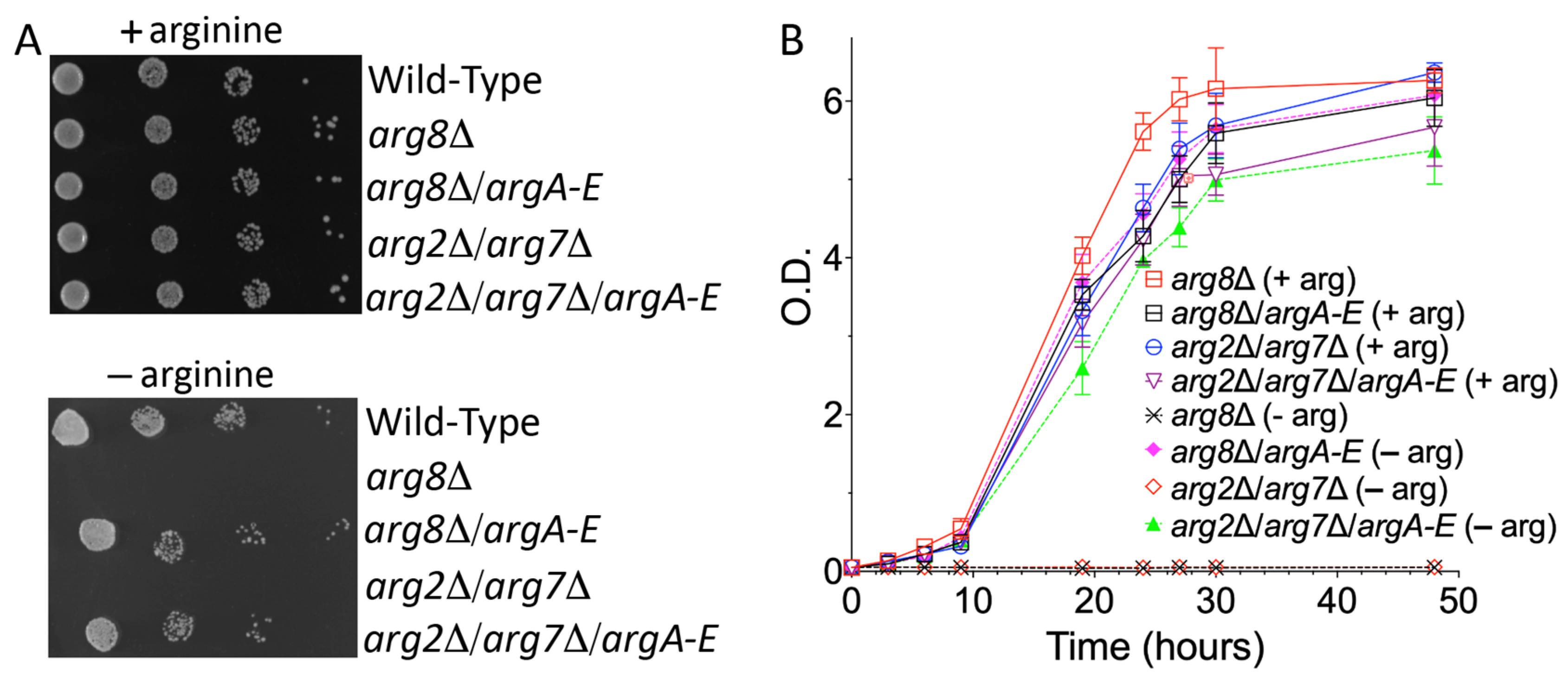 Biomolecules 13 00808 g004