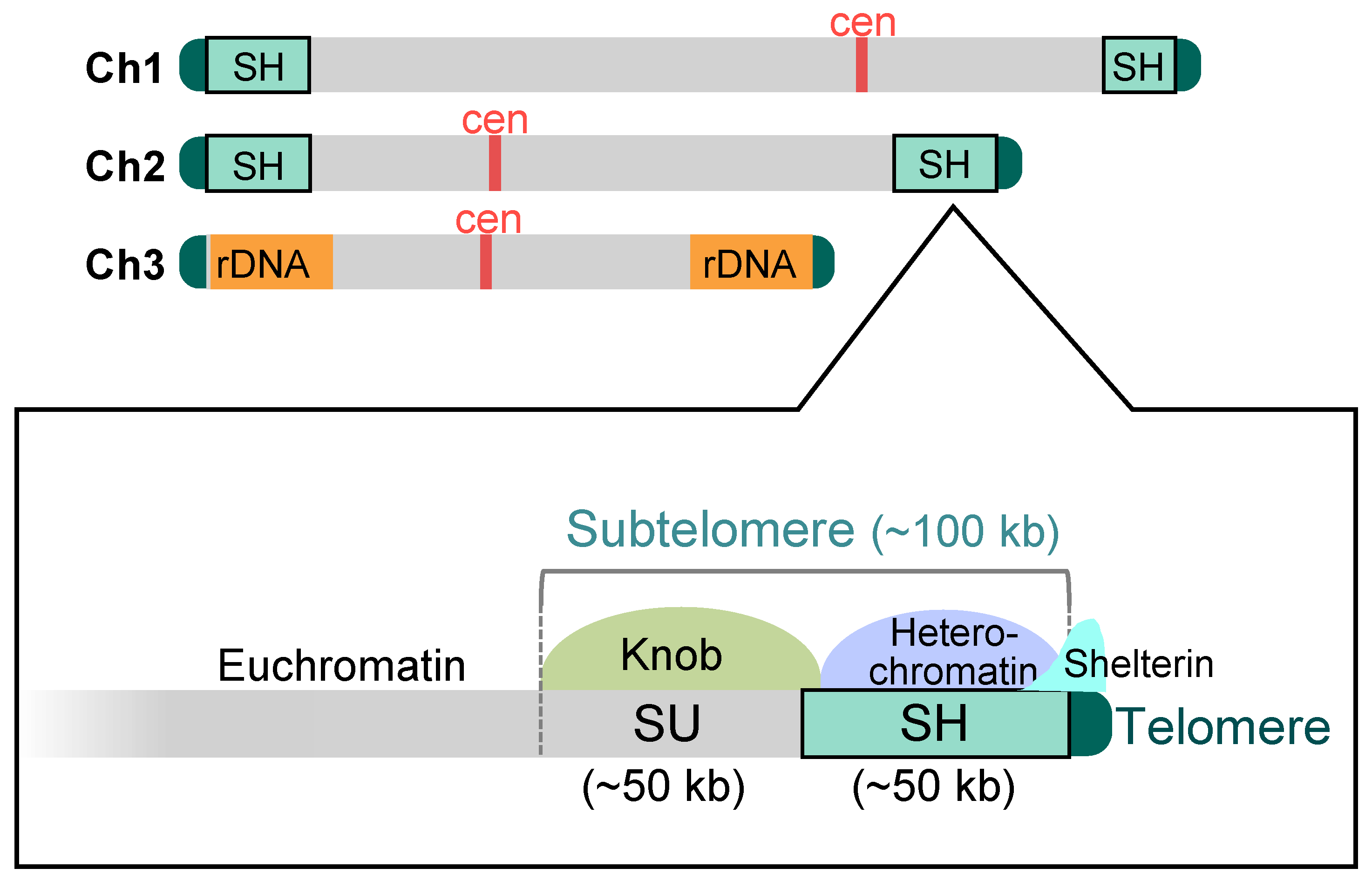 Biomolecules 13 00810 g002