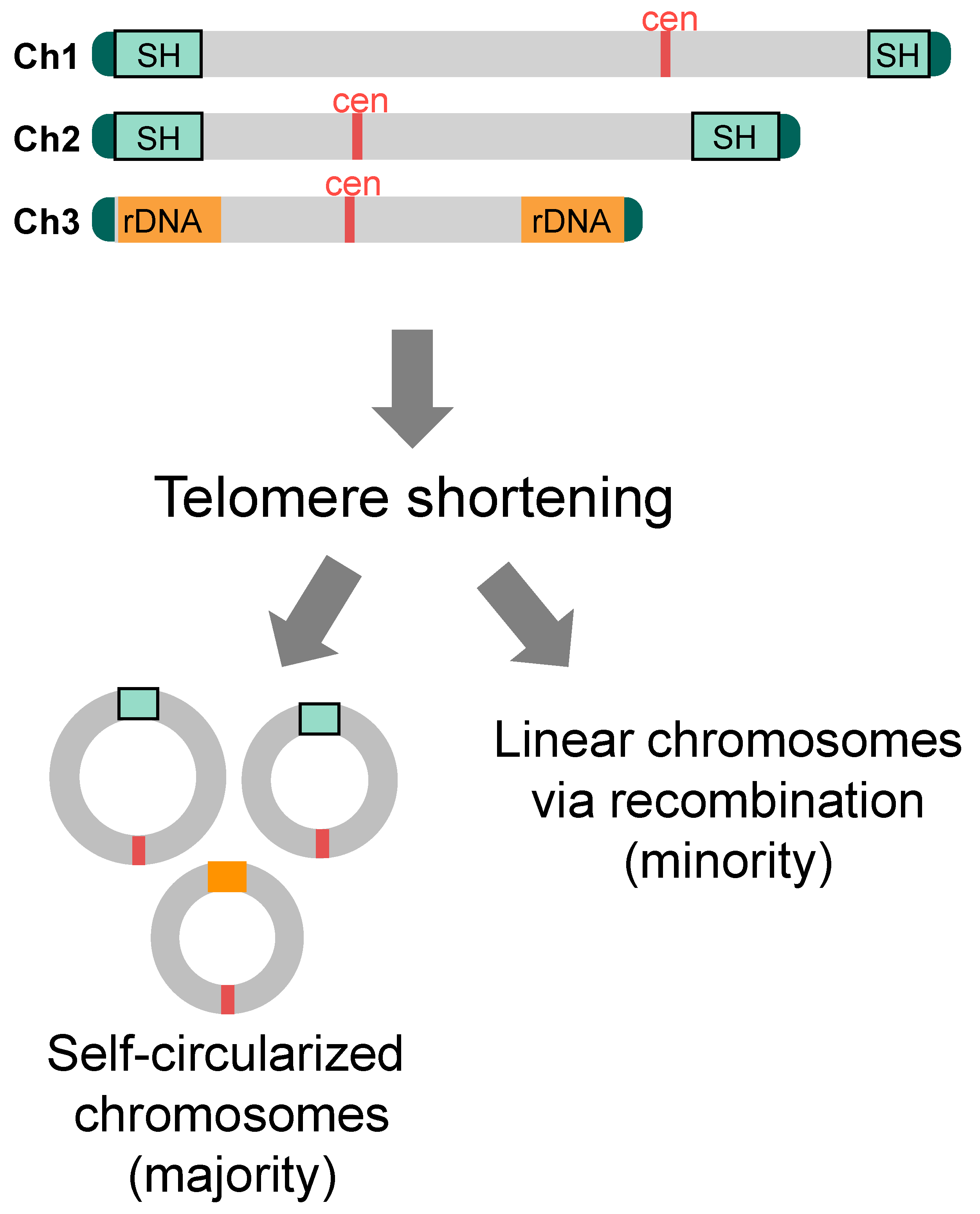 Biomolecules 13 00810 g006