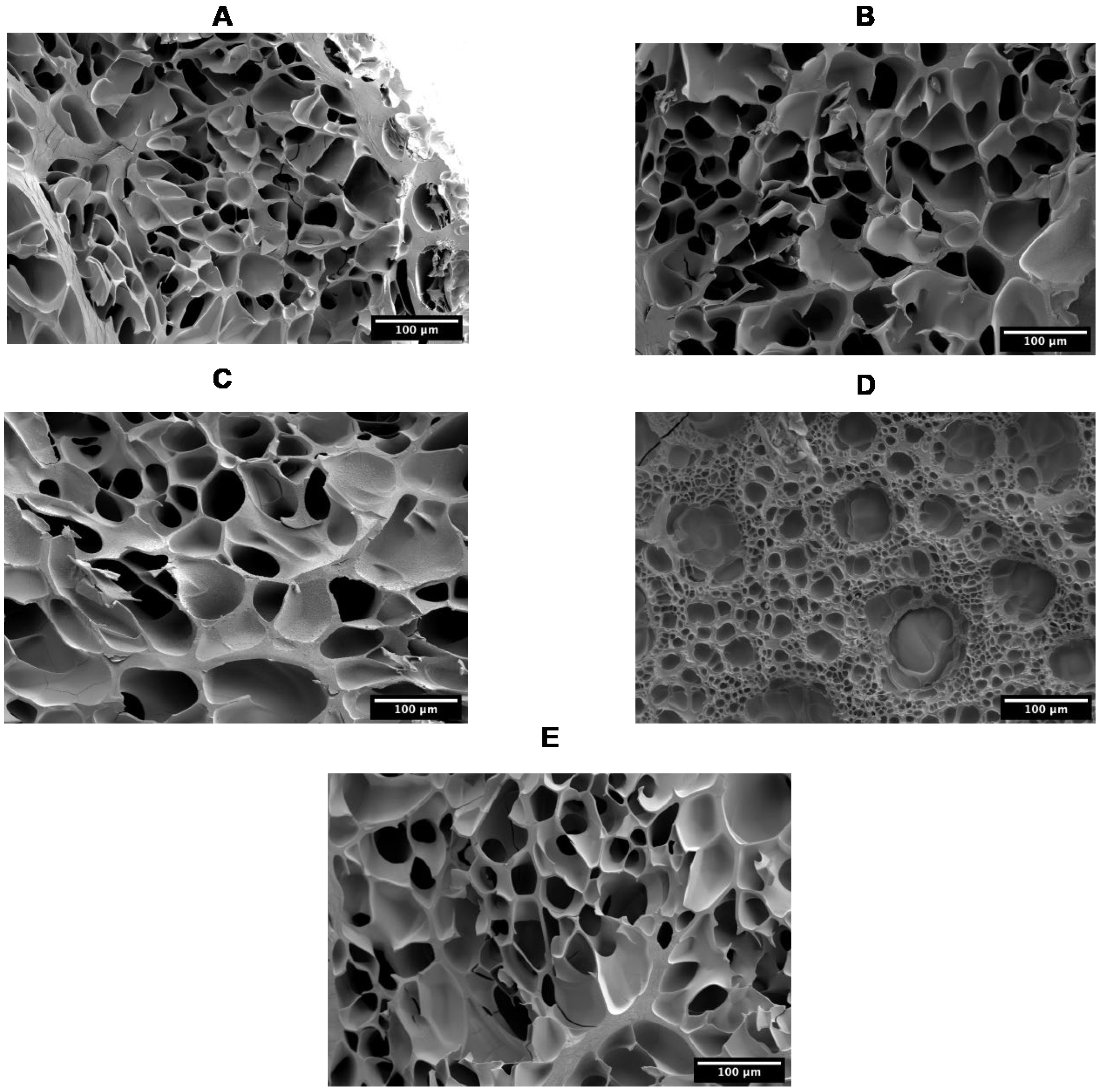 Biomolecules 13 00811 g004