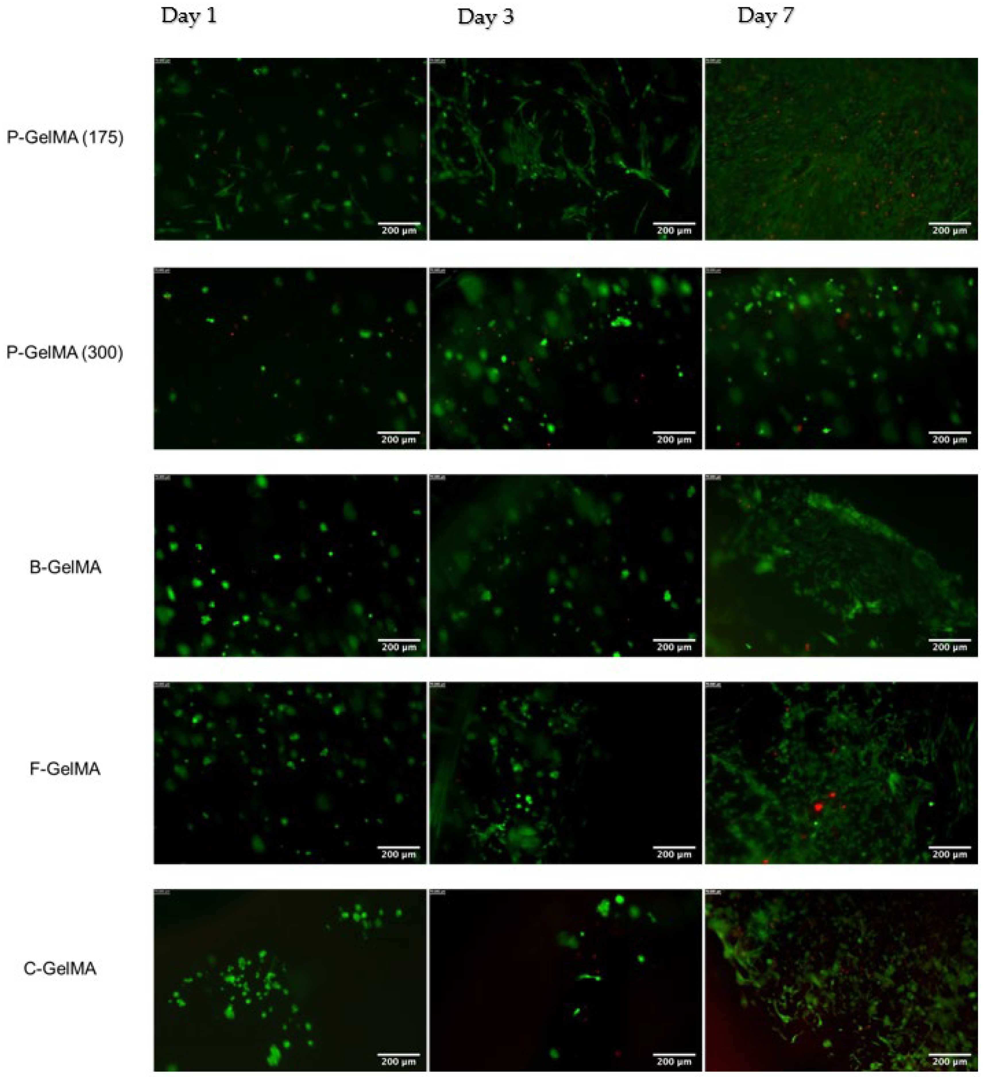Biomolecules 13 00811 g009