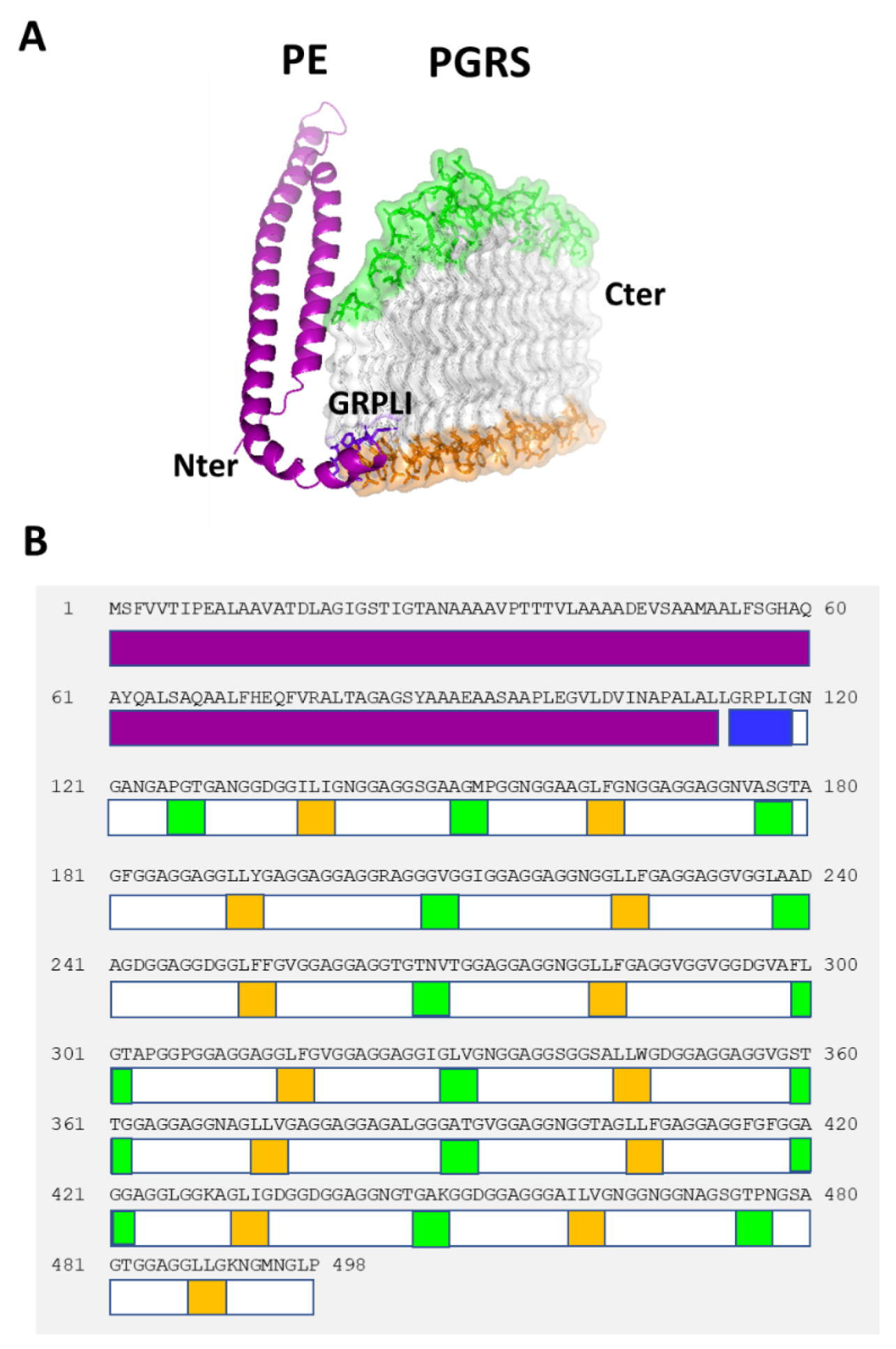 Biomolecules 13 00812 g001