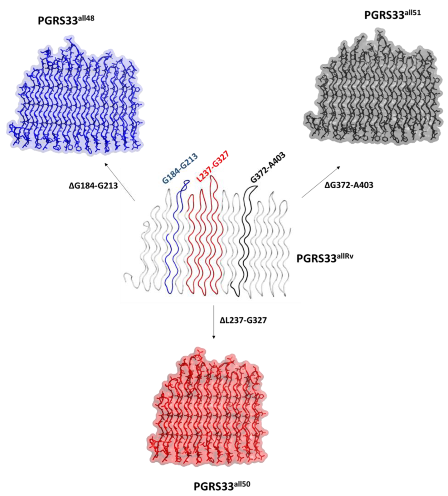 Biomolecules 13 00812 g006