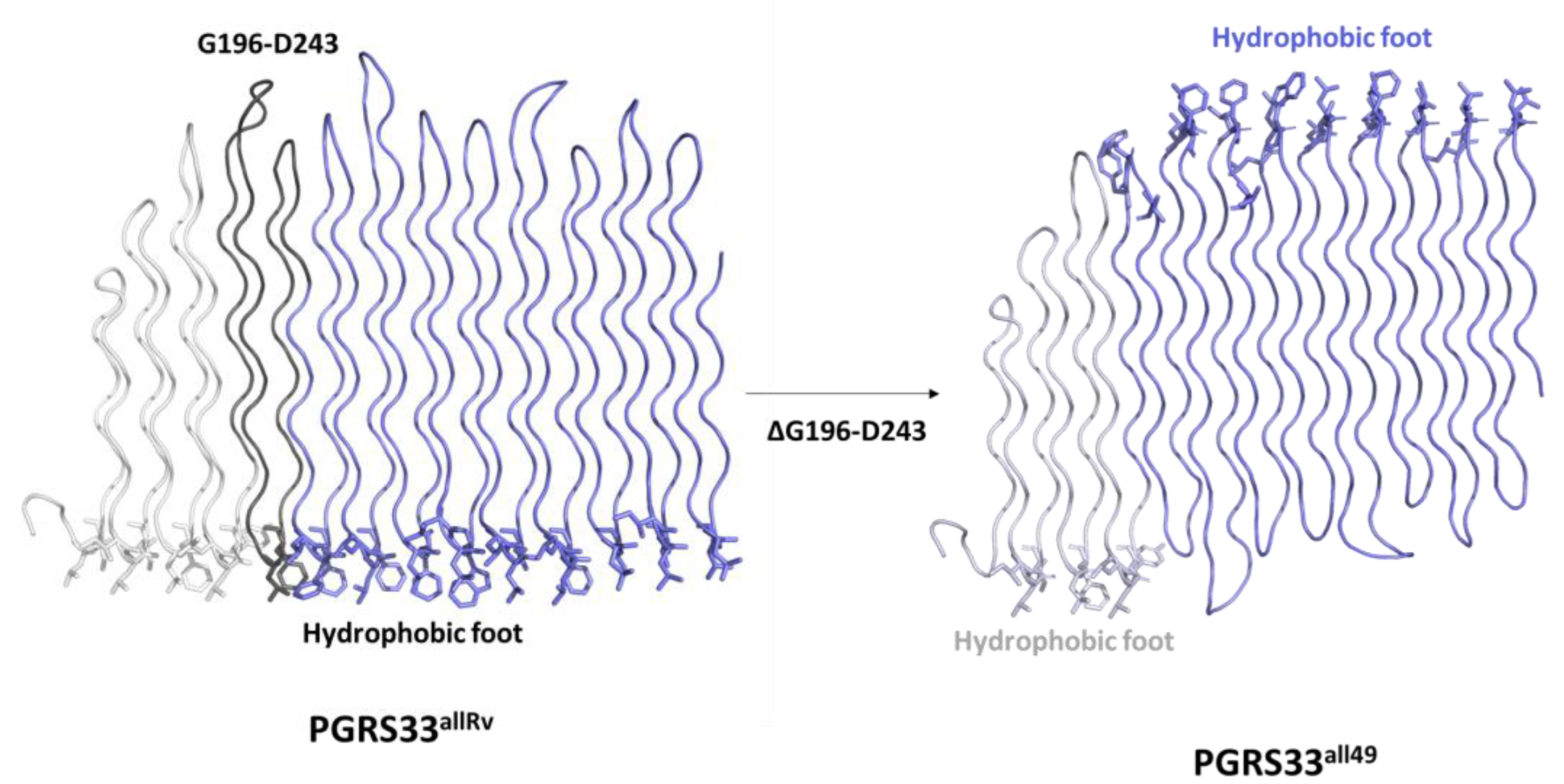 Biomolecules 13 00812 g007